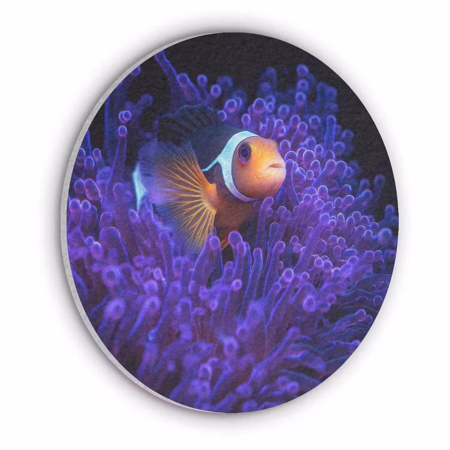 Koraal - Vis - Oranje - Zee Akoestische PET Vilt - Rond klein -3d