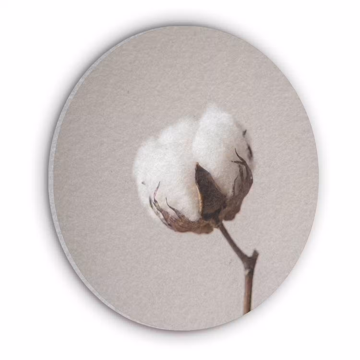 Katoenbol - Minimalistisch - Wit Akoestische PET Vilt - Rond klein -3d