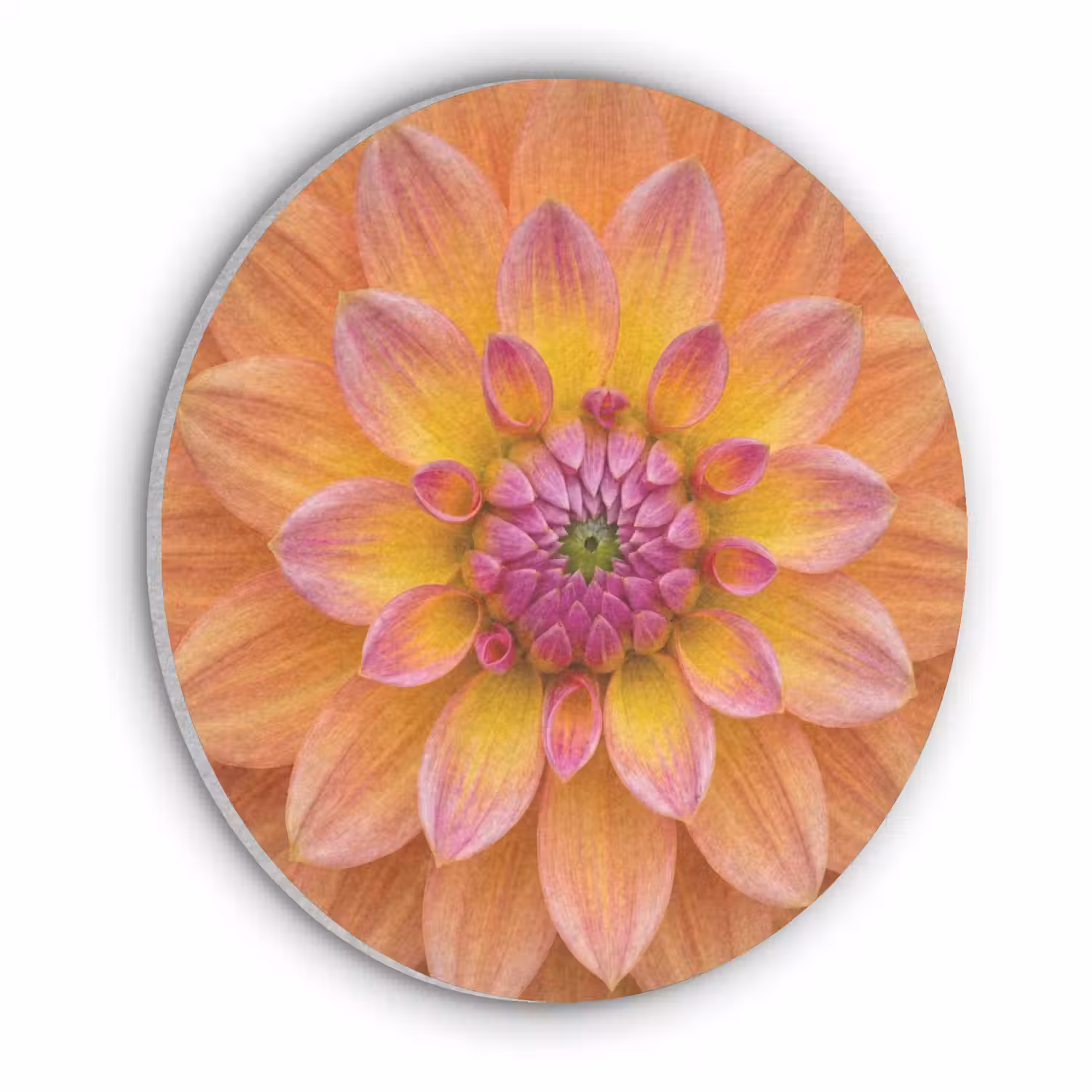 Dahlia - Bloem - Oranje Akoestische PET Vilt - Rond klein -3d