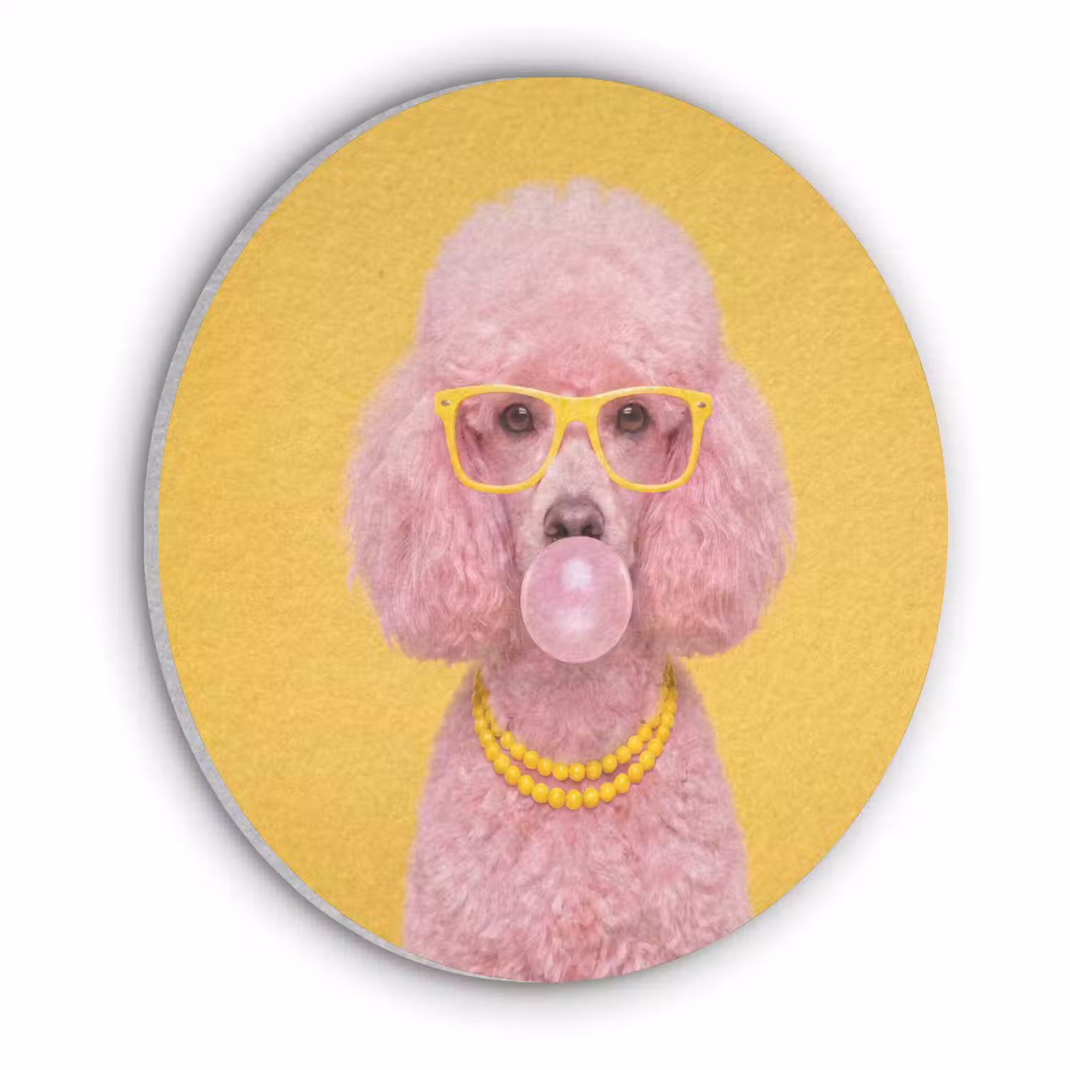 Hond - Kauwgum - Dieren - Modern - Roze Akoestische PET Vilt - Rond klein -3d