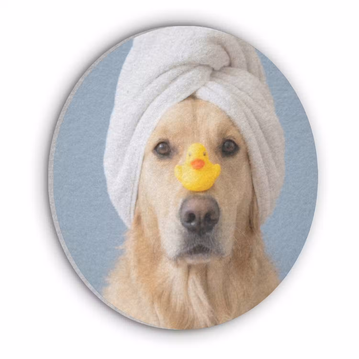 Hond - Badeend - Geel Akoestische PET Vilt - Rond klein -3d