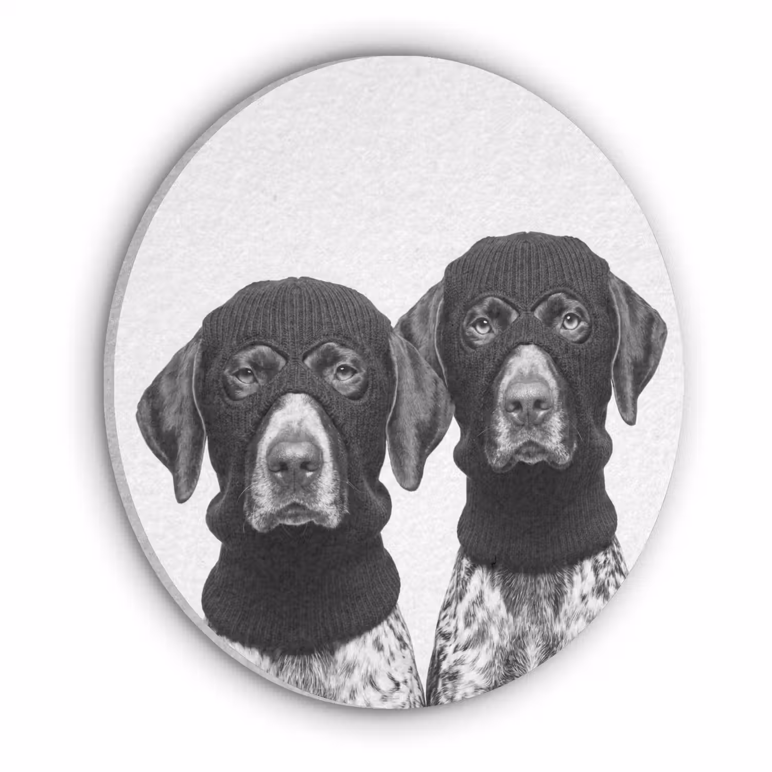 Honden - Bivakmuts - Zwart - wit Akoestische PET Vilt - Rond klein -3d