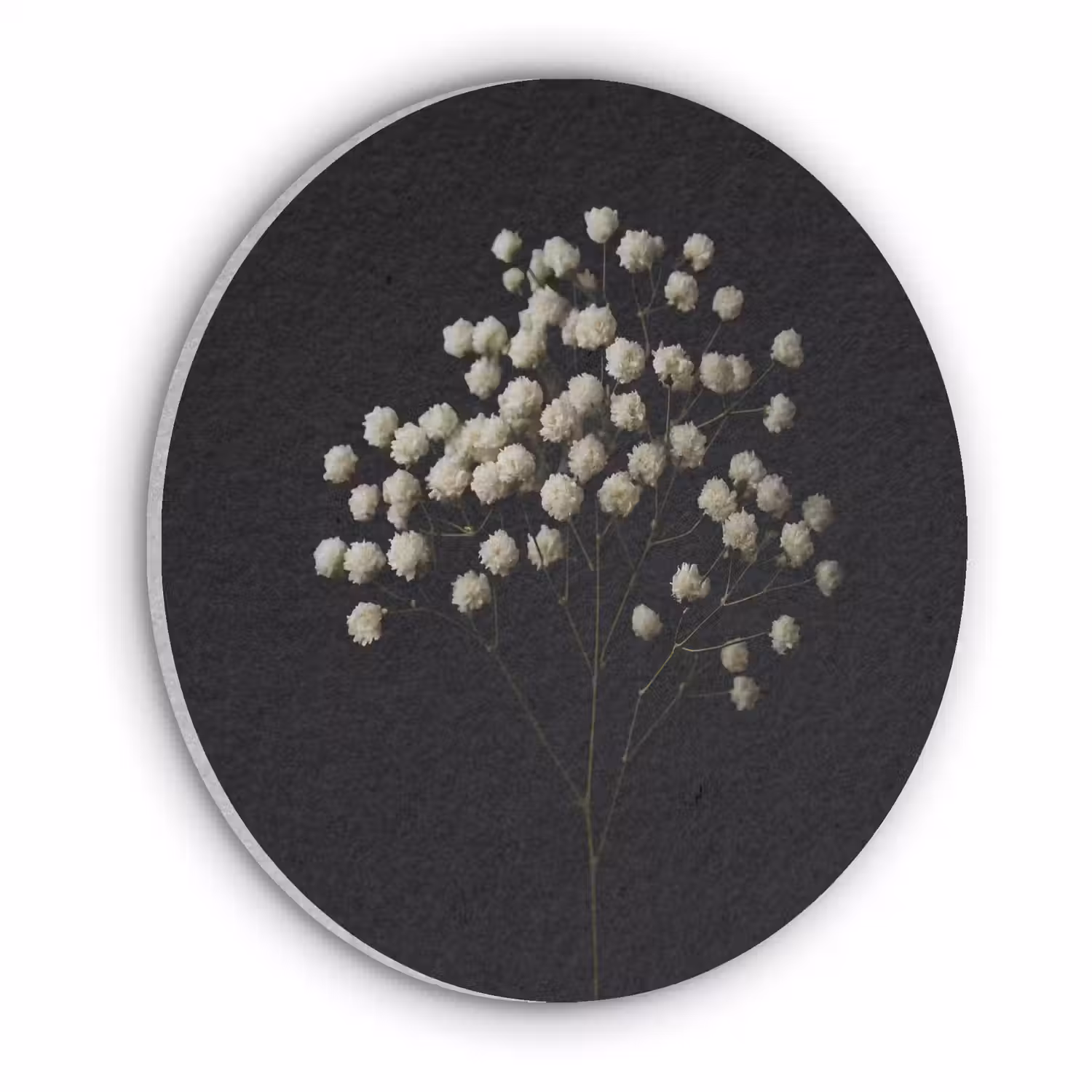 Gipskruid - Bloemetjes - Wit - Minimalistisch Akoestische PET Vilt - Rond klein -3d