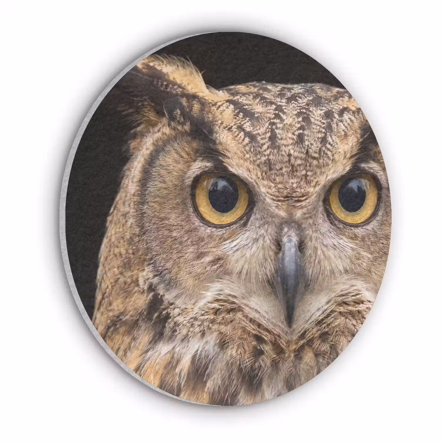Oehoe - Uil - Portret - Bruin Akoestische PET Vilt - Rond klein -3d