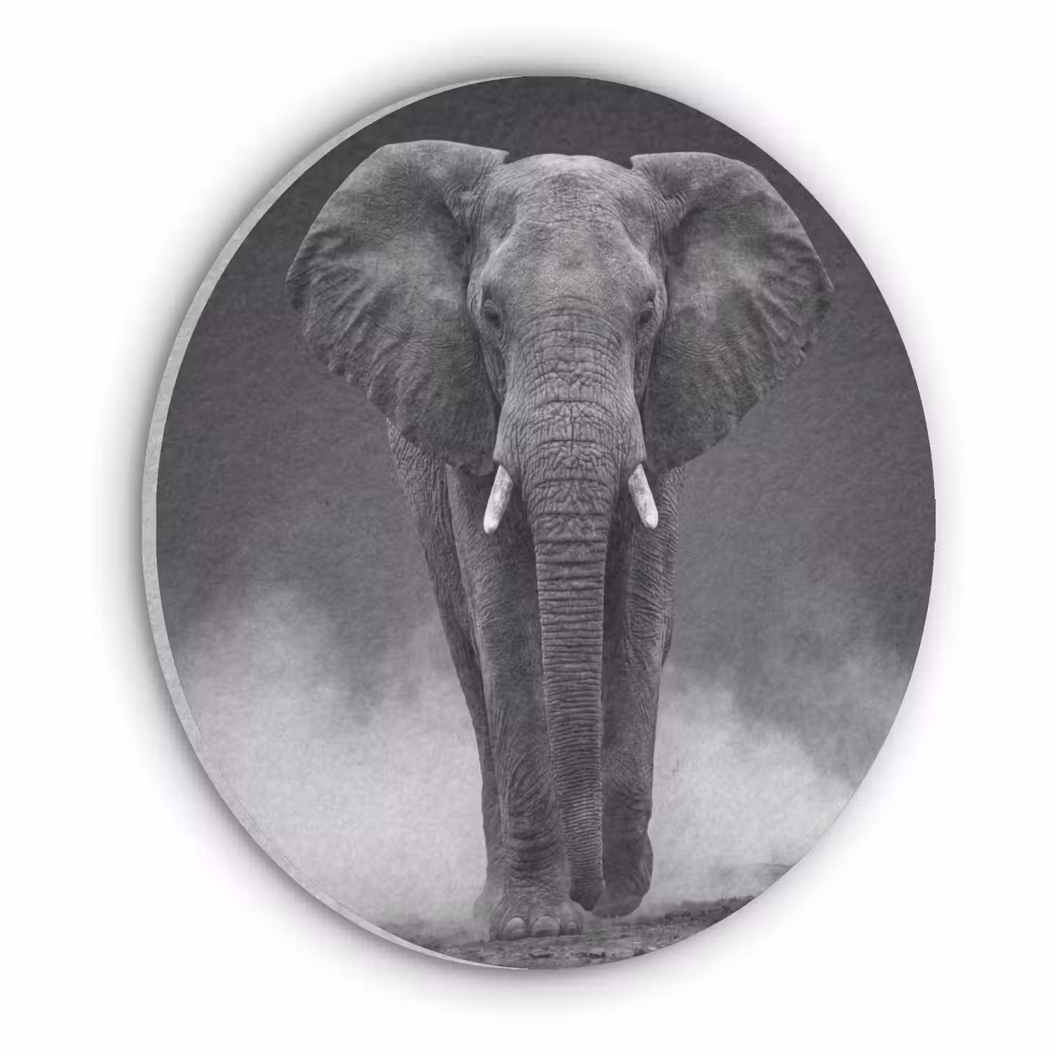 Olifant - Zwart - Wit - Rook Akoestische PET Vilt - Rond klein -3d
