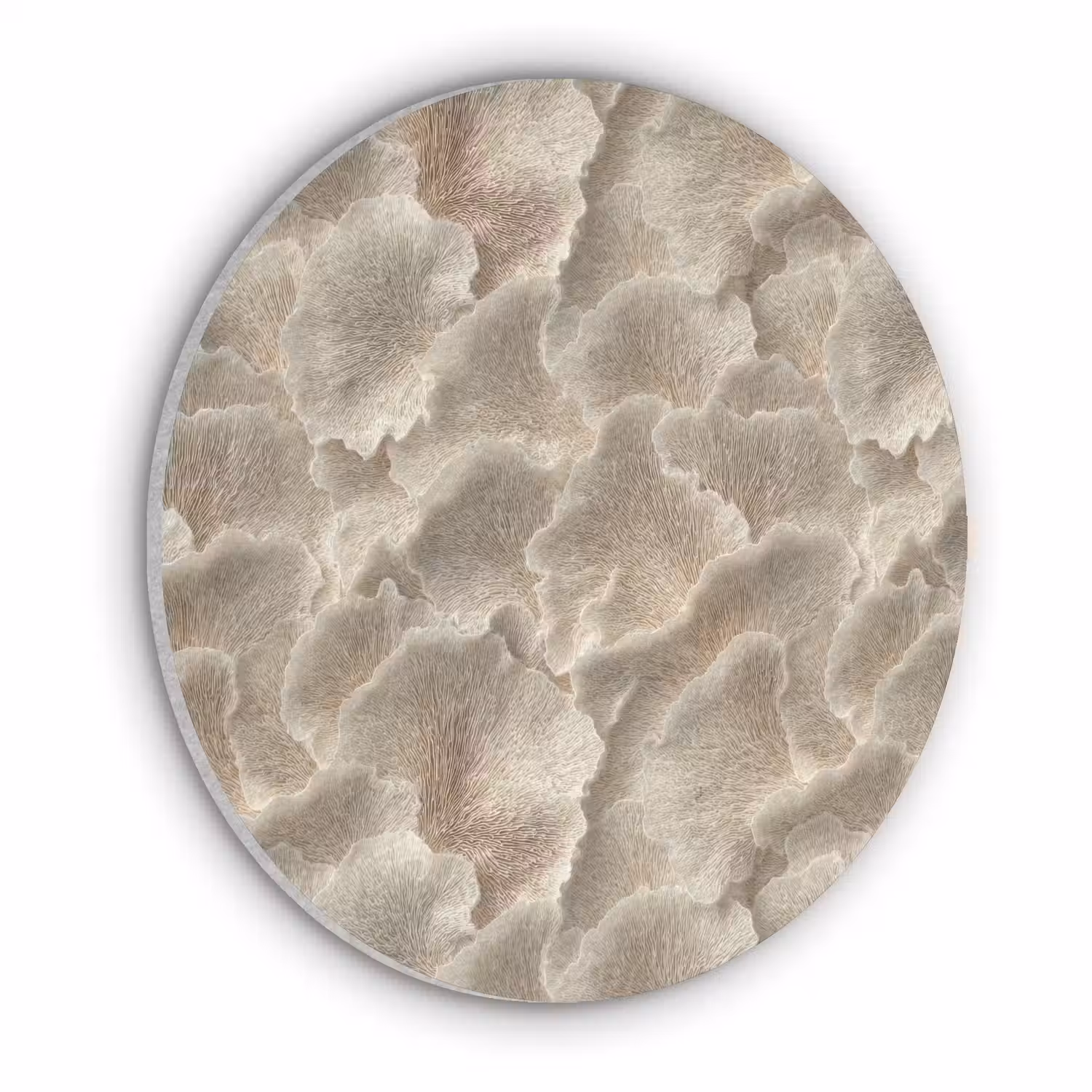 Waaierstructuren - Beige - Vezeltextuur Akoestische PET Vilt - Rond klein 838 -3d
