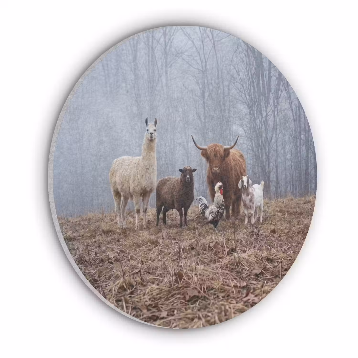 Boerderijdieren - Groep - Mist - Natuur - Rustiek Akoestische PET Vilt - Rond klein -3d