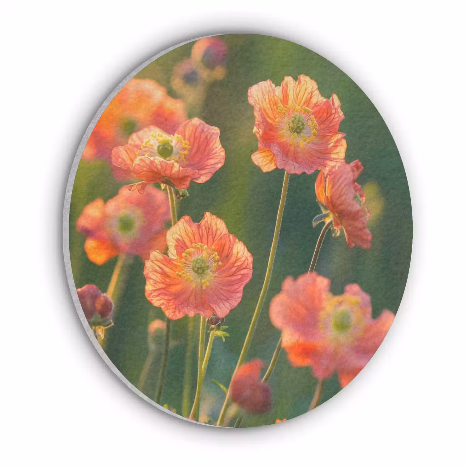 Bloemenveld - Zonnestralen - Oranje Akoestische PET Vilt - Rond klein -3d