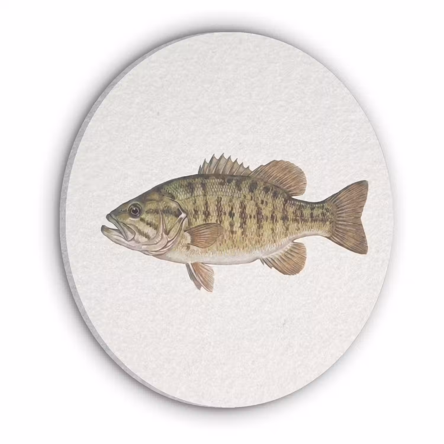 Vissen - Natuur - Vintage Akoestische PET Vilt - Rond klein -3d