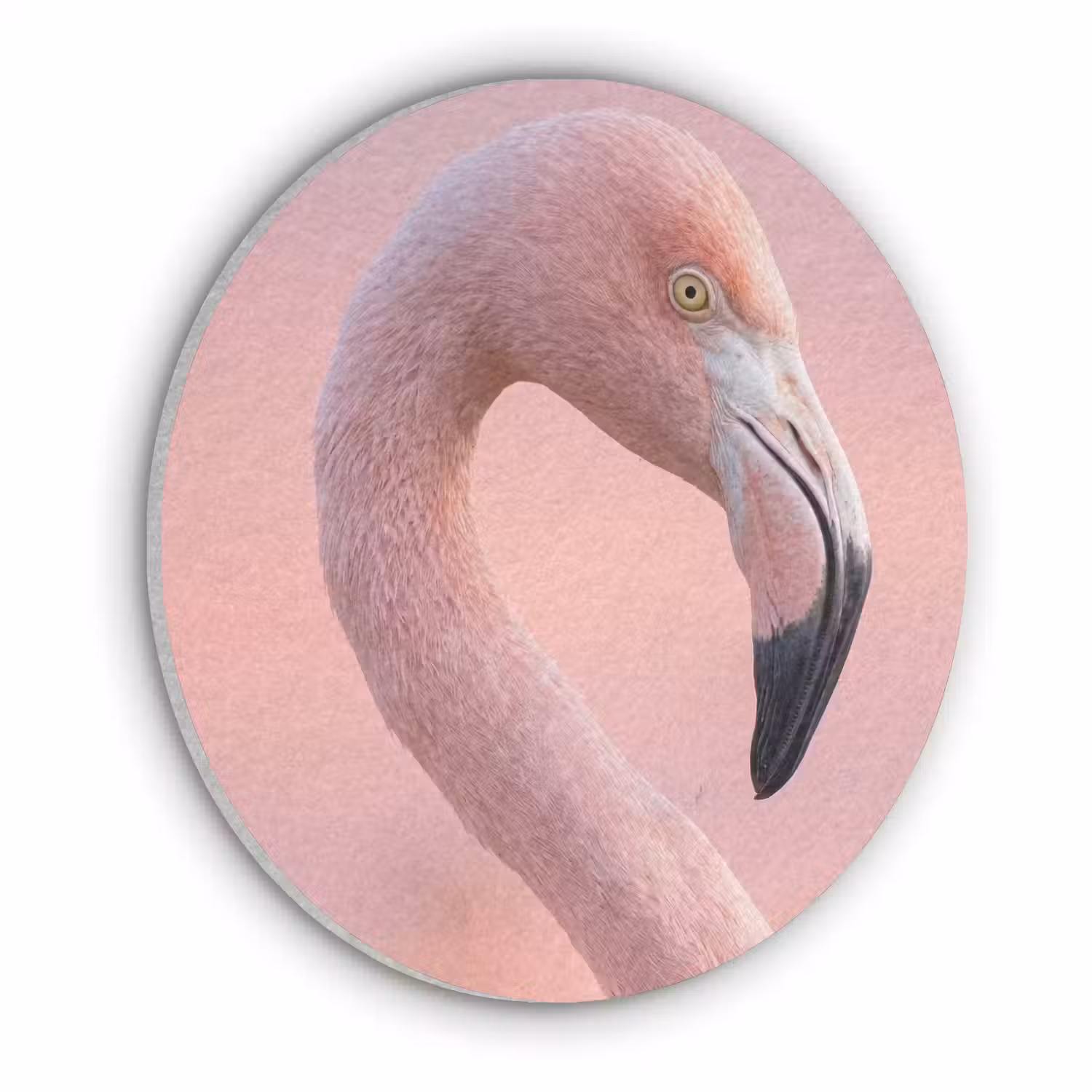 Flamingo - Portret - Roze Akoestische PET Vilt - Rond klein -3d