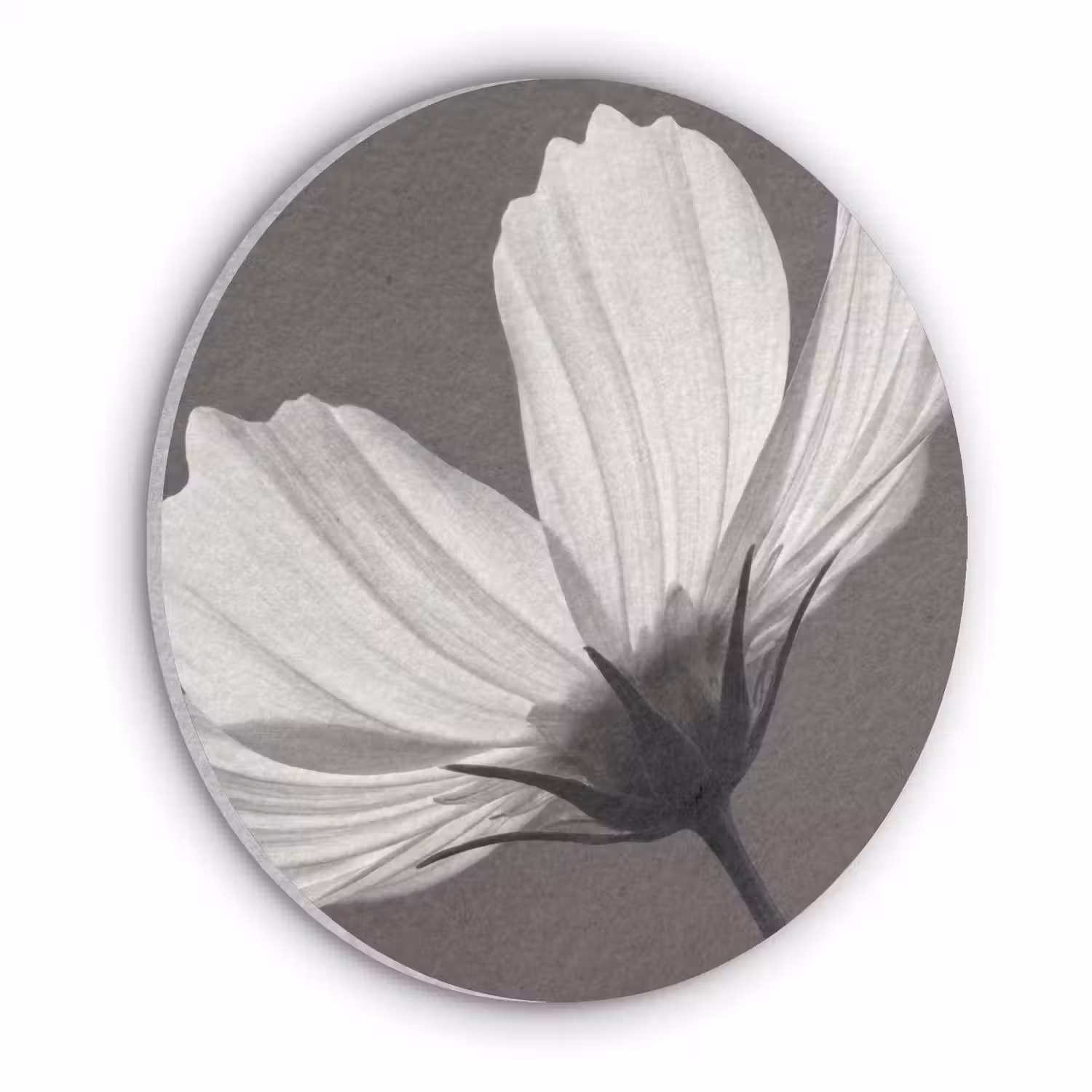 Bloem - Minimalistisch - Zwart - Wit Akoestische PET Vilt - Rond klein -3d