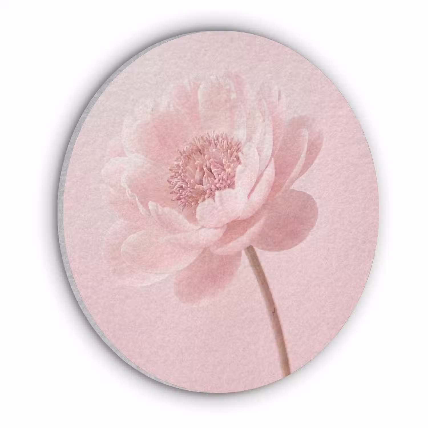 Bloem - Pioenroos - Roze Akoestische PET Vilt - Rond klein -3d