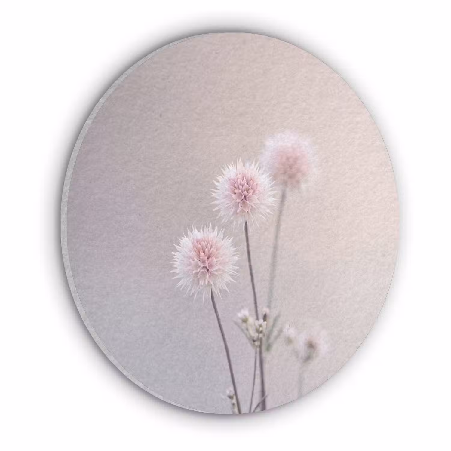 Bloemen - Bollen - Roze Akoestische PET Vilt - Rond klein -3d