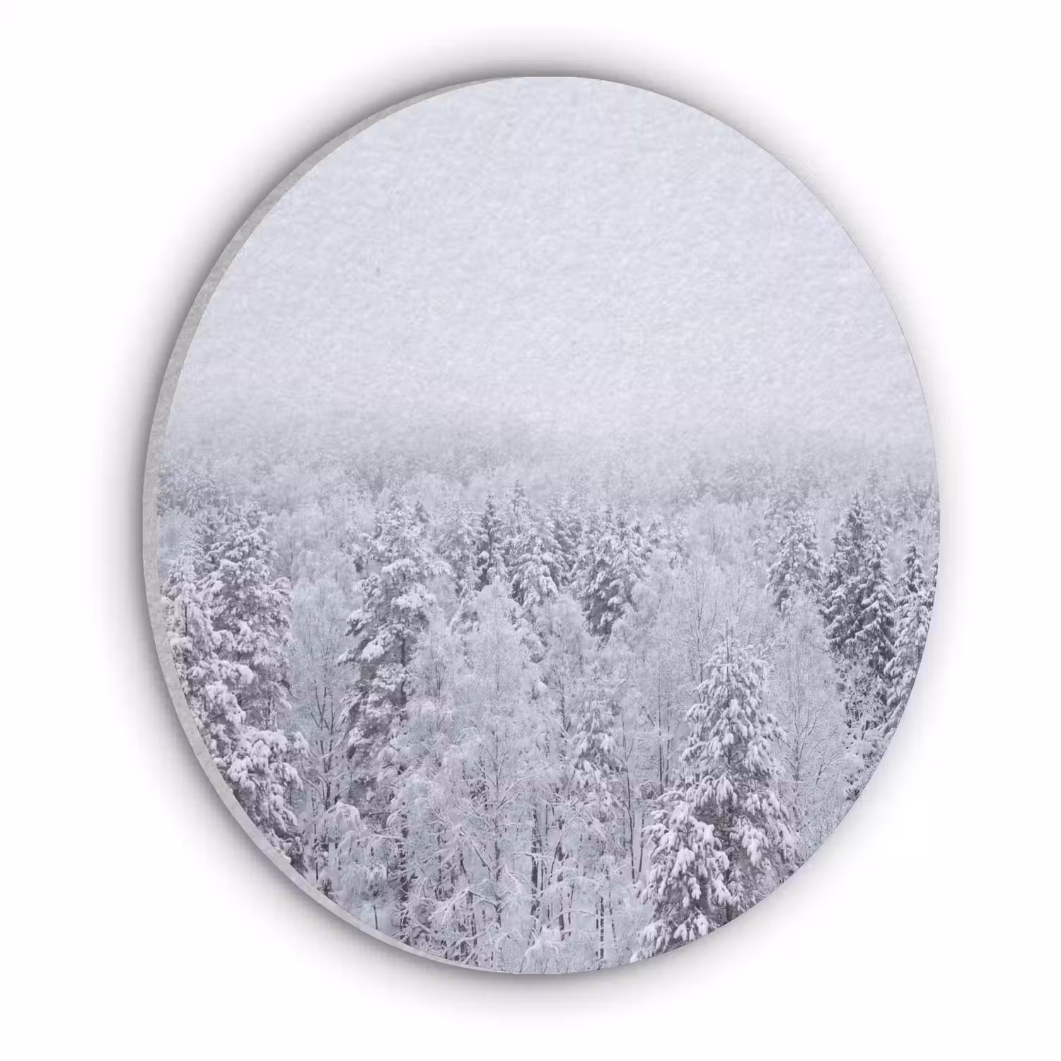 Bos - Sneeuw - Winter - Natuur - Wit Akoestische PET Vilt - Rond klein -3d