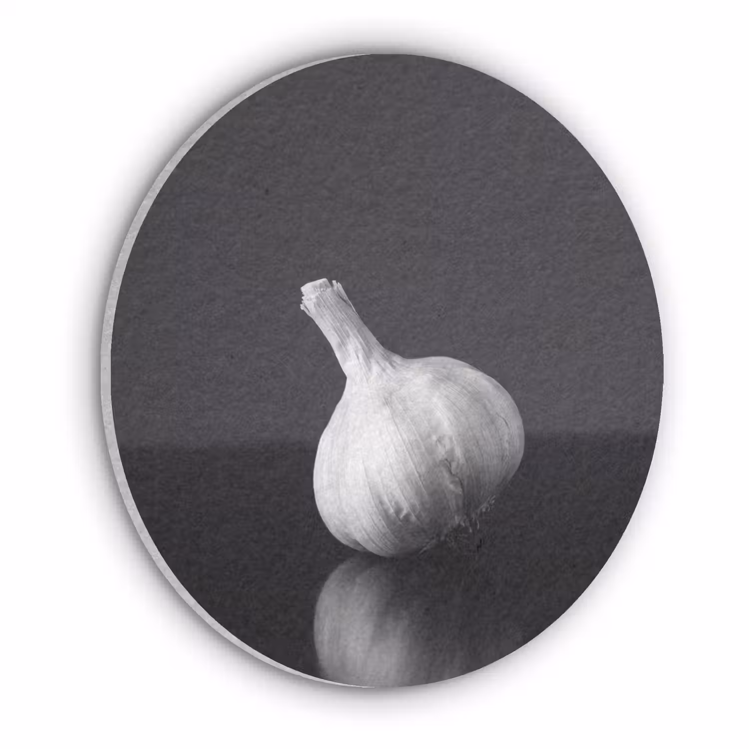 Knoflook - Zwart - Wit Akoestische PET Vilt - Rond klein -3d