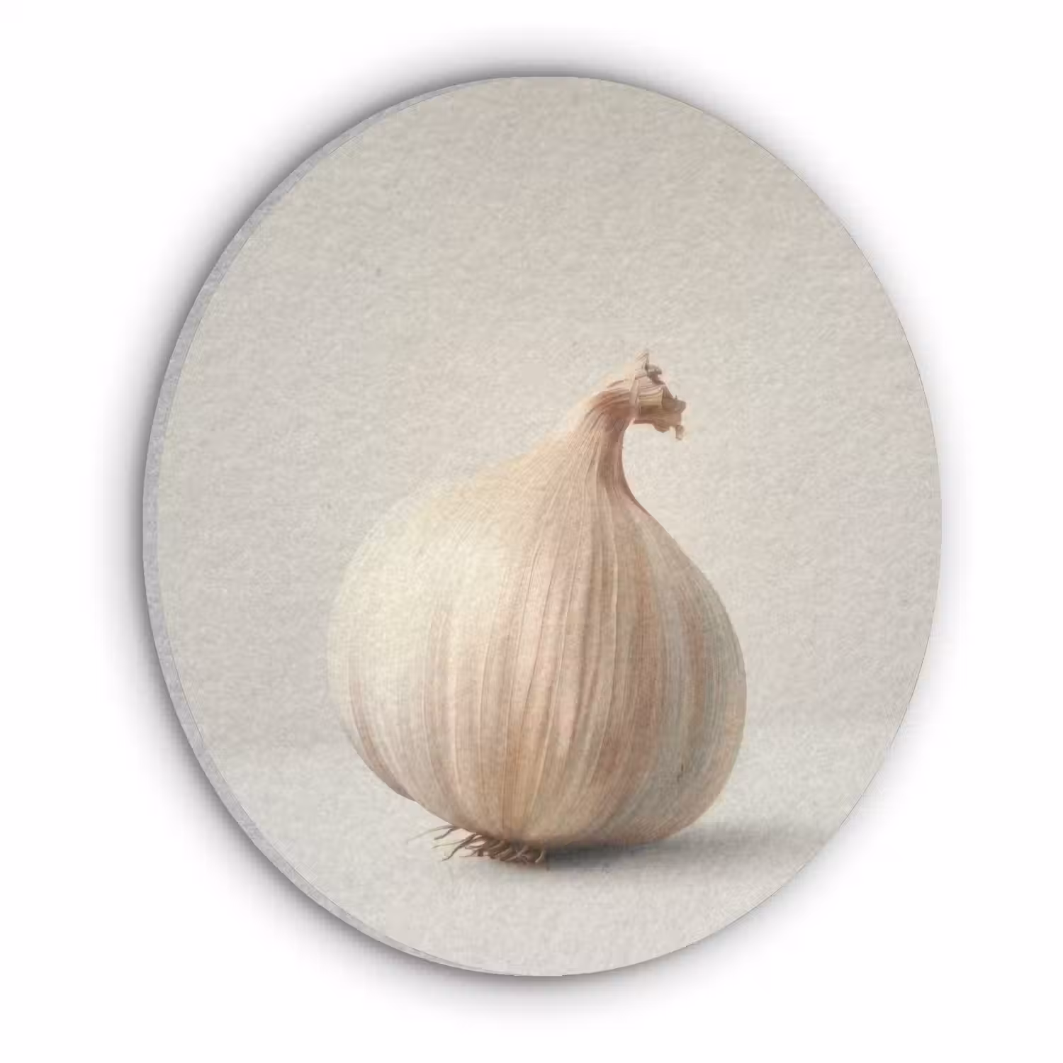 Knoflook - Natuurlijk - Beige Akoestische PET Vilt - Rond klein -3d