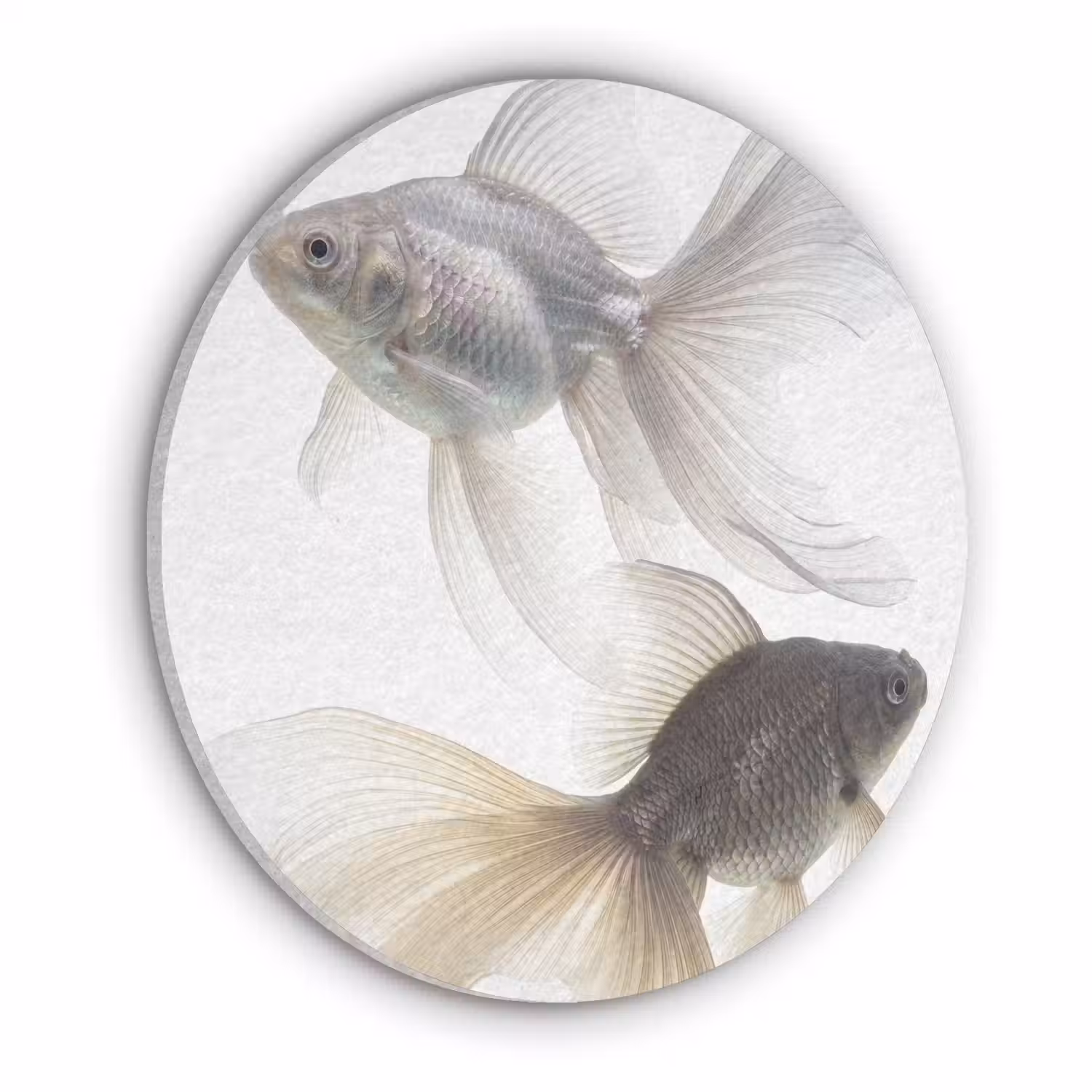 Goudvissen - Modern - Wit Akoestische PET Vilt - Rond klein -3d