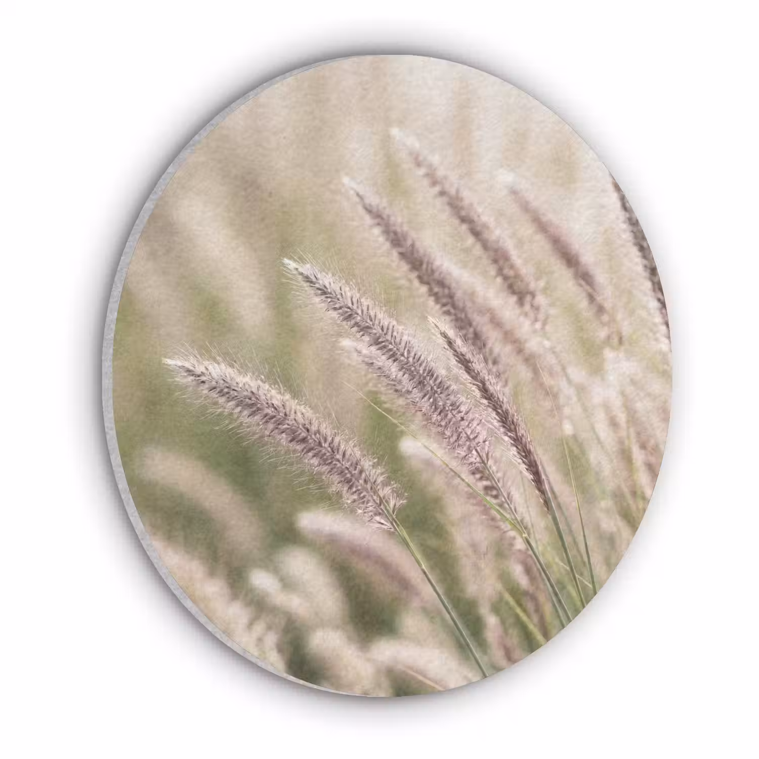 Gras - Close up - Groen Akoestische PET Vilt - Rond klein -3d