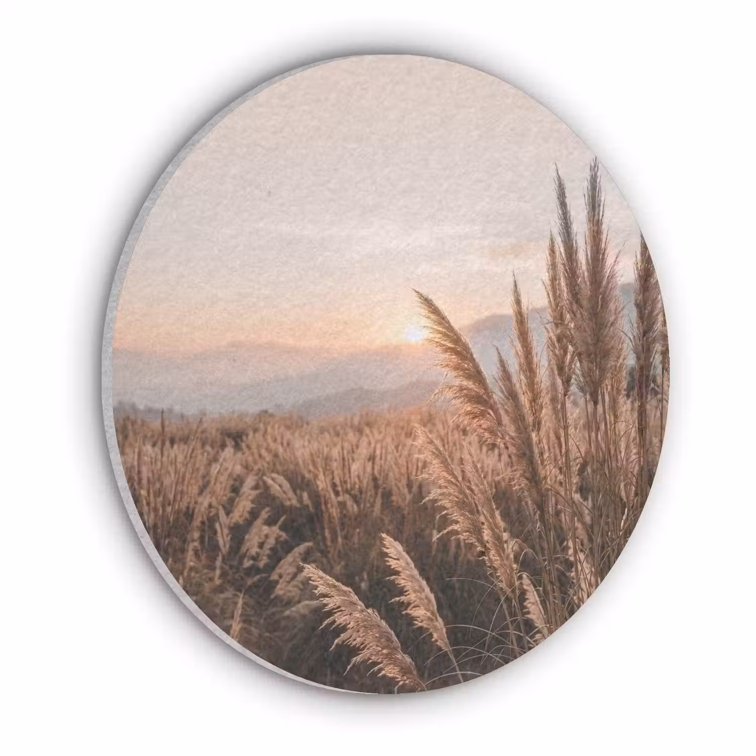 Gras - Veld - Zon - Natuur Akoestische PET Vilt - Rond klein -3d