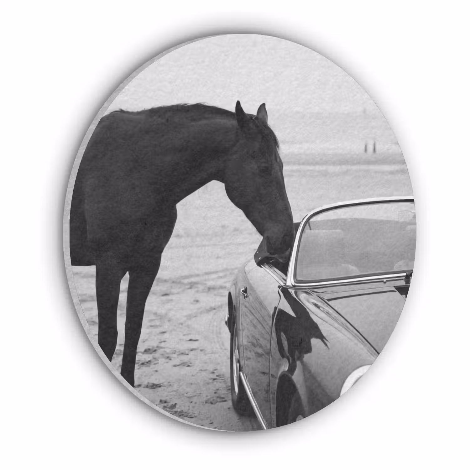 Paard - Auto - Zwart - Wit Akoestische PET Vilt - Rond klein -3d