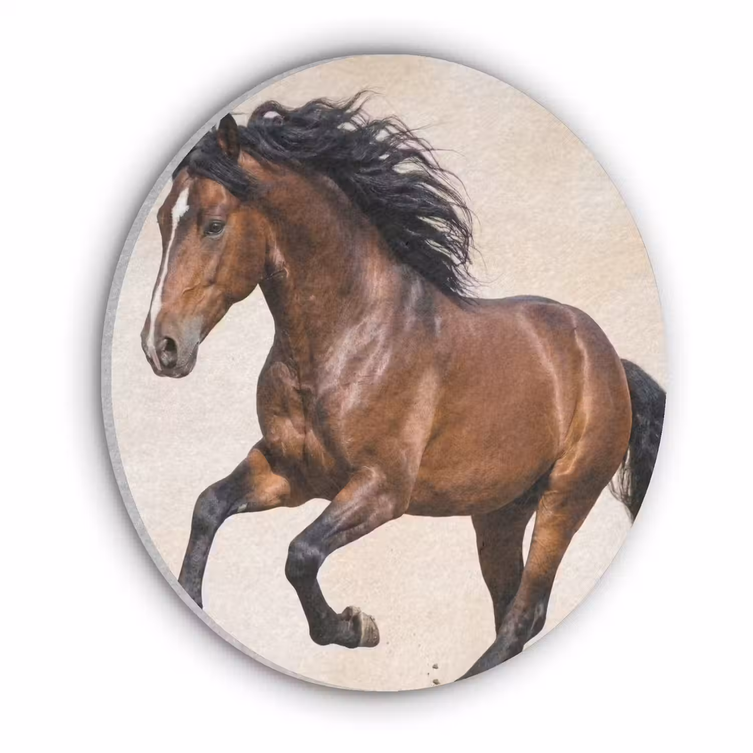 Paard - Galop - Energie Akoestische PET Vilt - Rond klein -3d