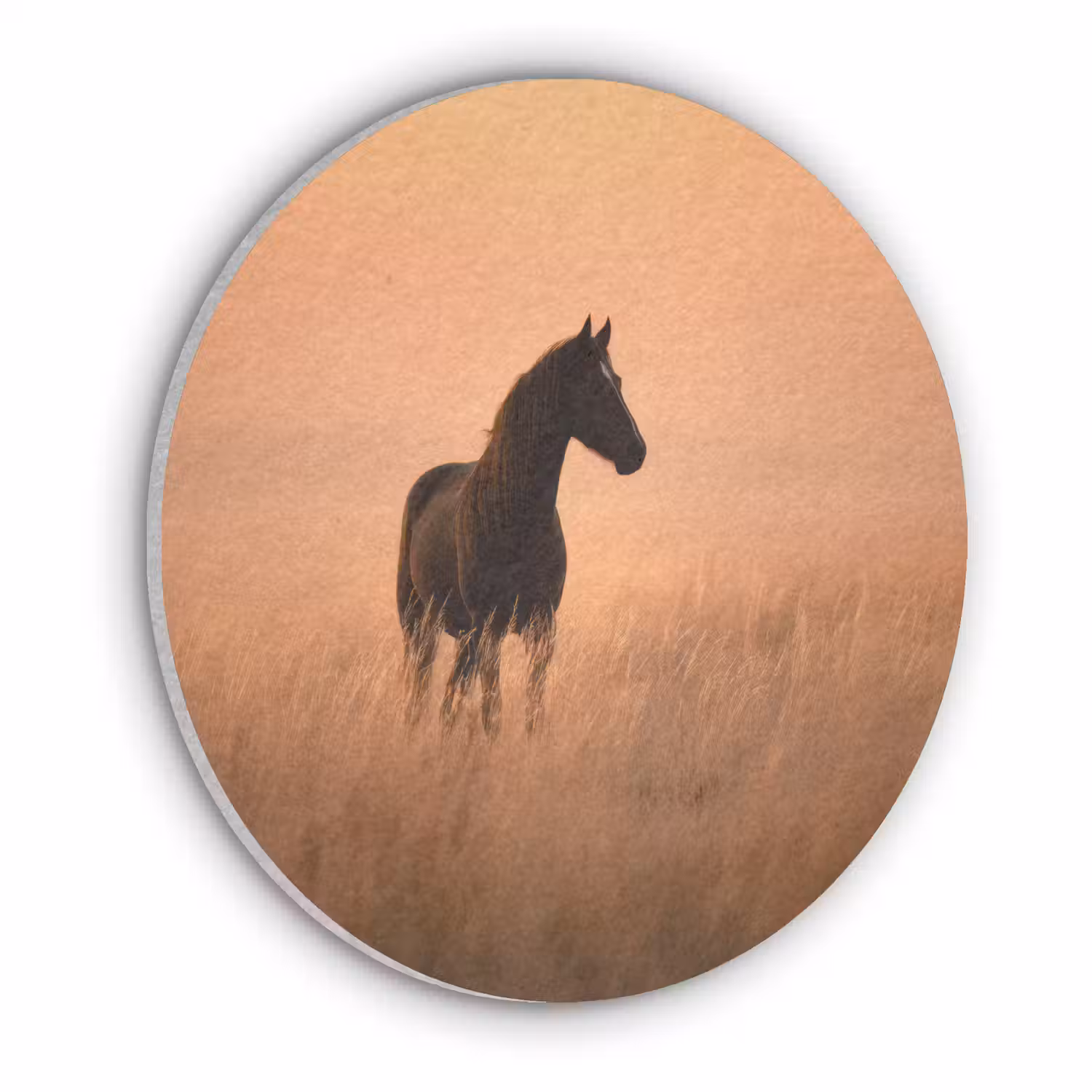 Paard - Grasveld - Zonsondergang Akoestische PET Vilt - Rond klein -3d