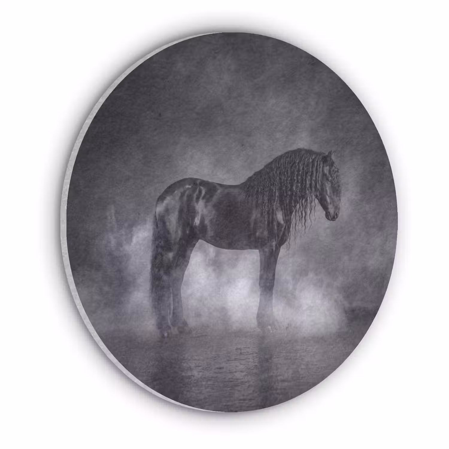 Paard - Magisch - Zwart Akoestische PET Vilt - Rond klein -3d