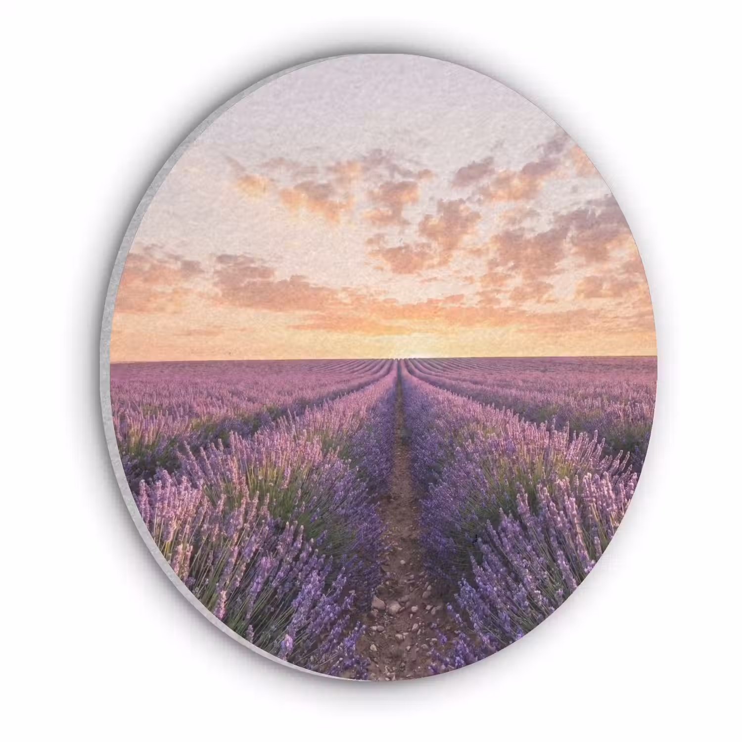 Landschap - Lavendelveld - Paars Akoestische PET Vilt - Rond klein -3d