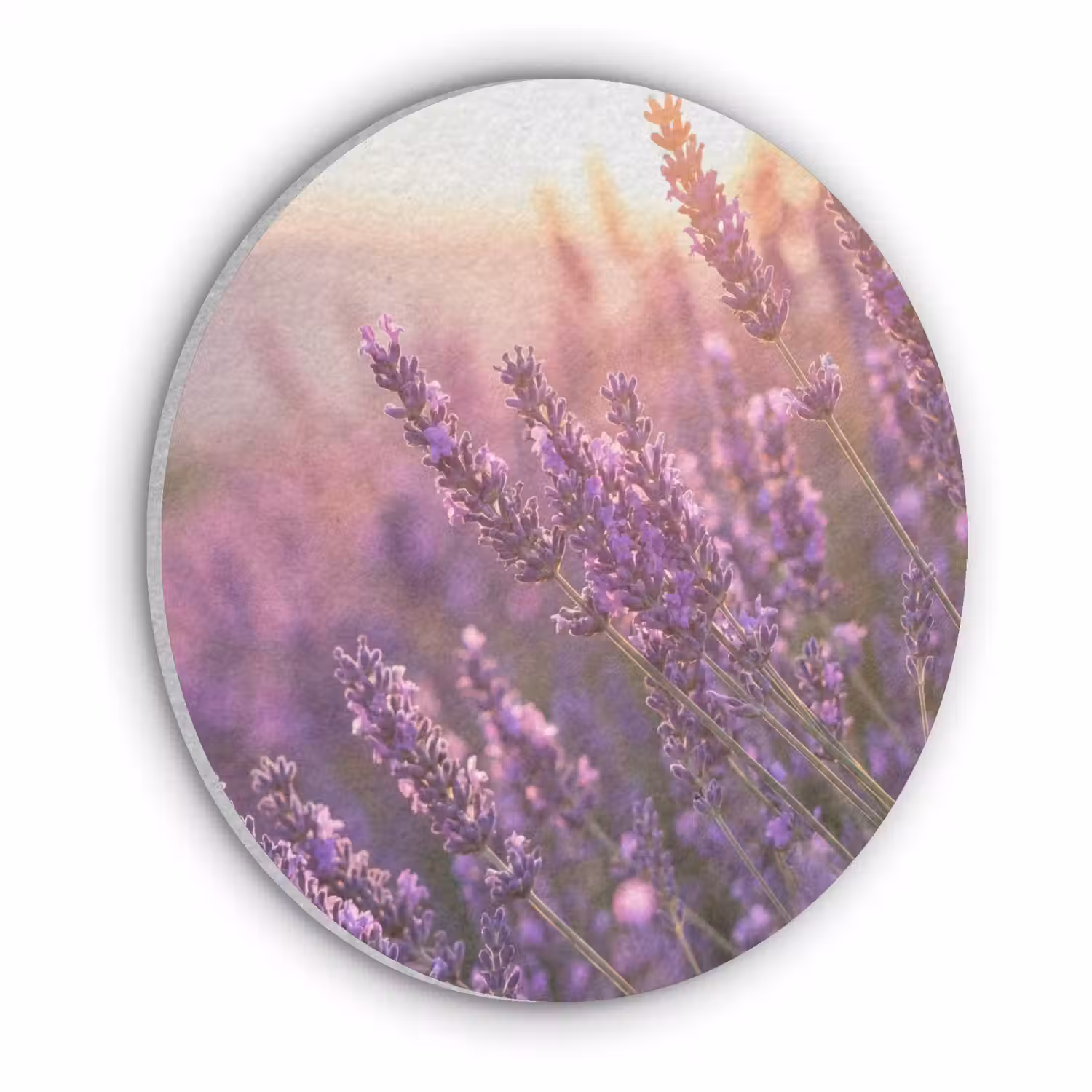 Lavendel - Paars - Zonlicht Akoestische PET Vilt - Rond klein -3d