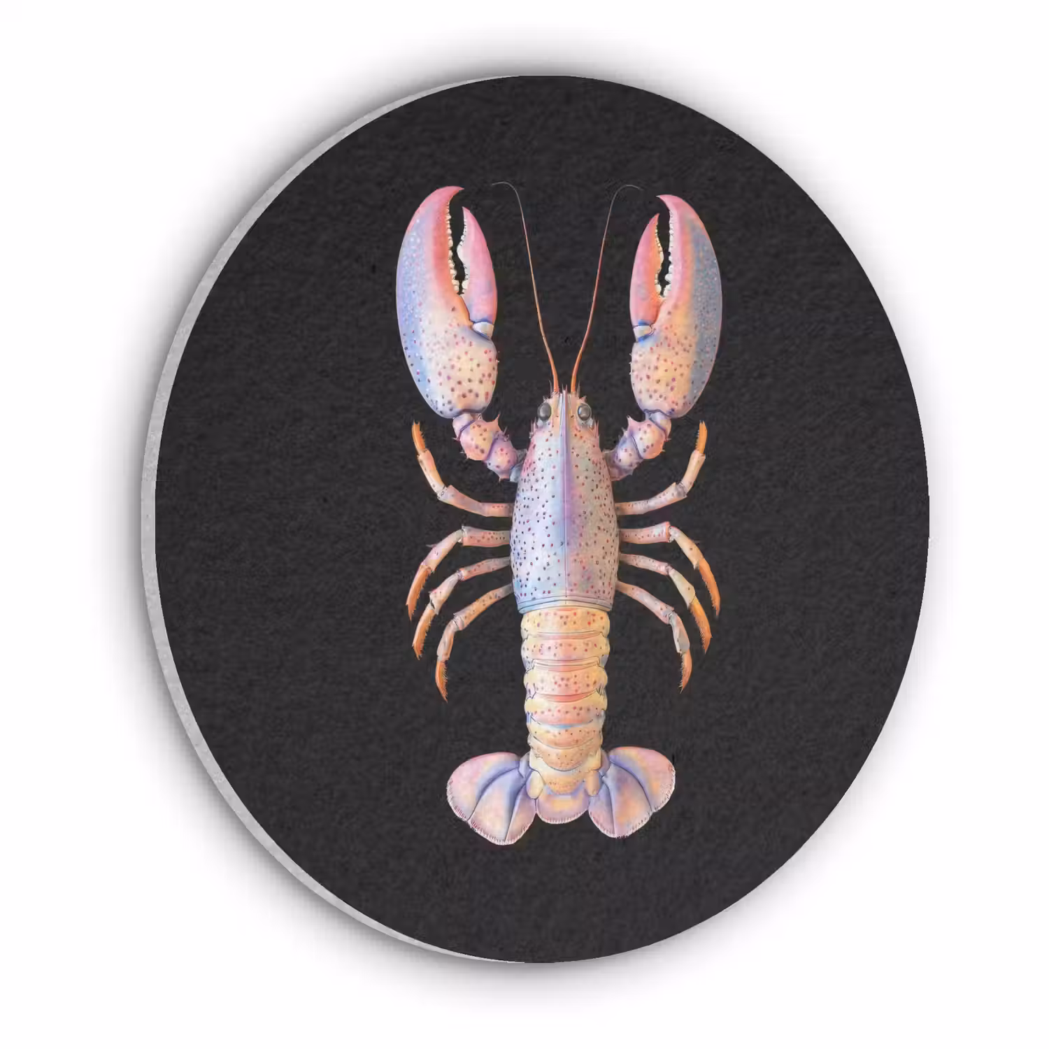 Kreeft - Roze - Zacht - Zwart Akoestische PET Vilt - Rond klein -3d