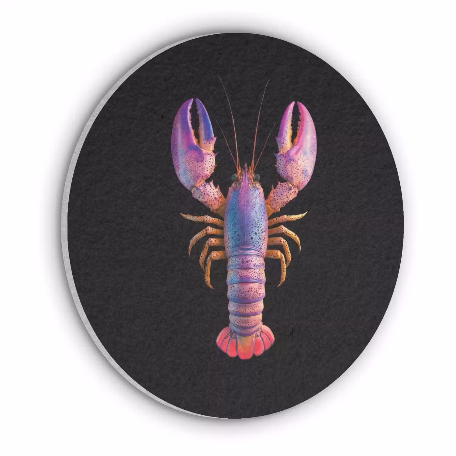 Kreeft - Paars - Roze - Zwart - Stippen - Lila Akoestische PET Vilt - Rond klein -3d