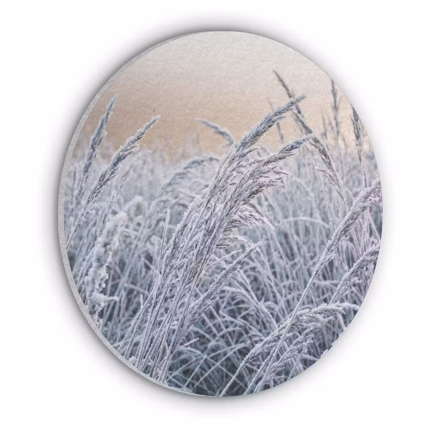 Rijp - Gras - Kristallen - Winter - Minimalistisch Akoestische PET Vilt - Rond klein -3d