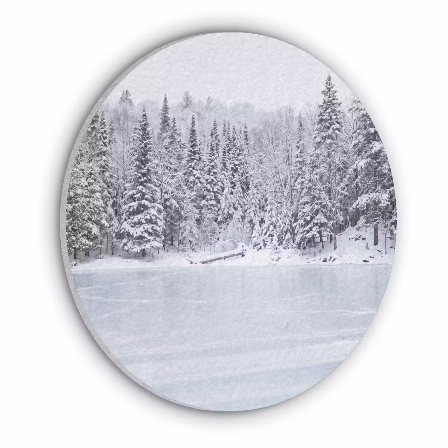 Meer - Dennen - IJs - Winter - Rustgevend Akoestische PET Vilt - Rond klein -3d