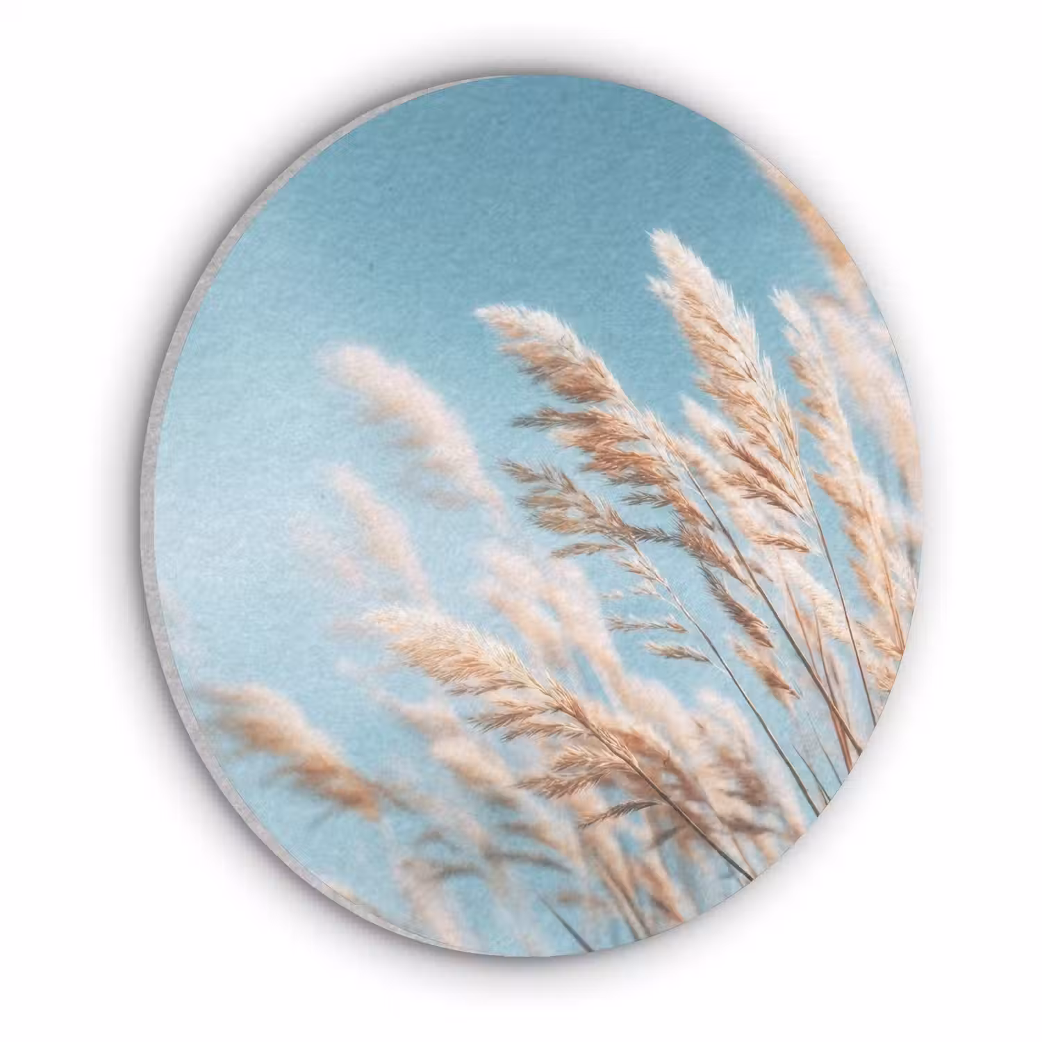 Siergras - Wind - Lichtbruin Akoestische PET Vilt - Rond klein -3d