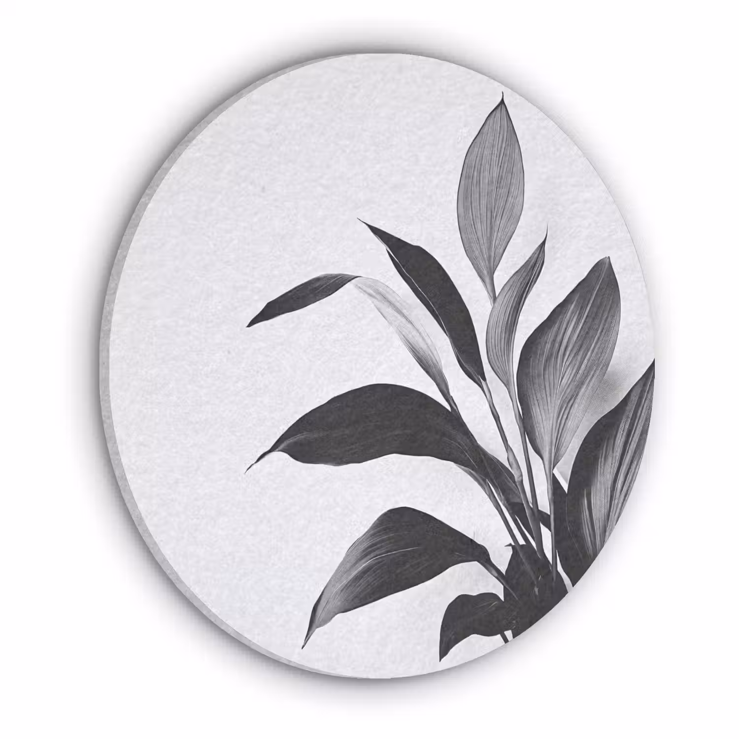 Plant - Bladeren - Minimalistisch - Zwart Akoestische PET Vilt - Rond klein -3d