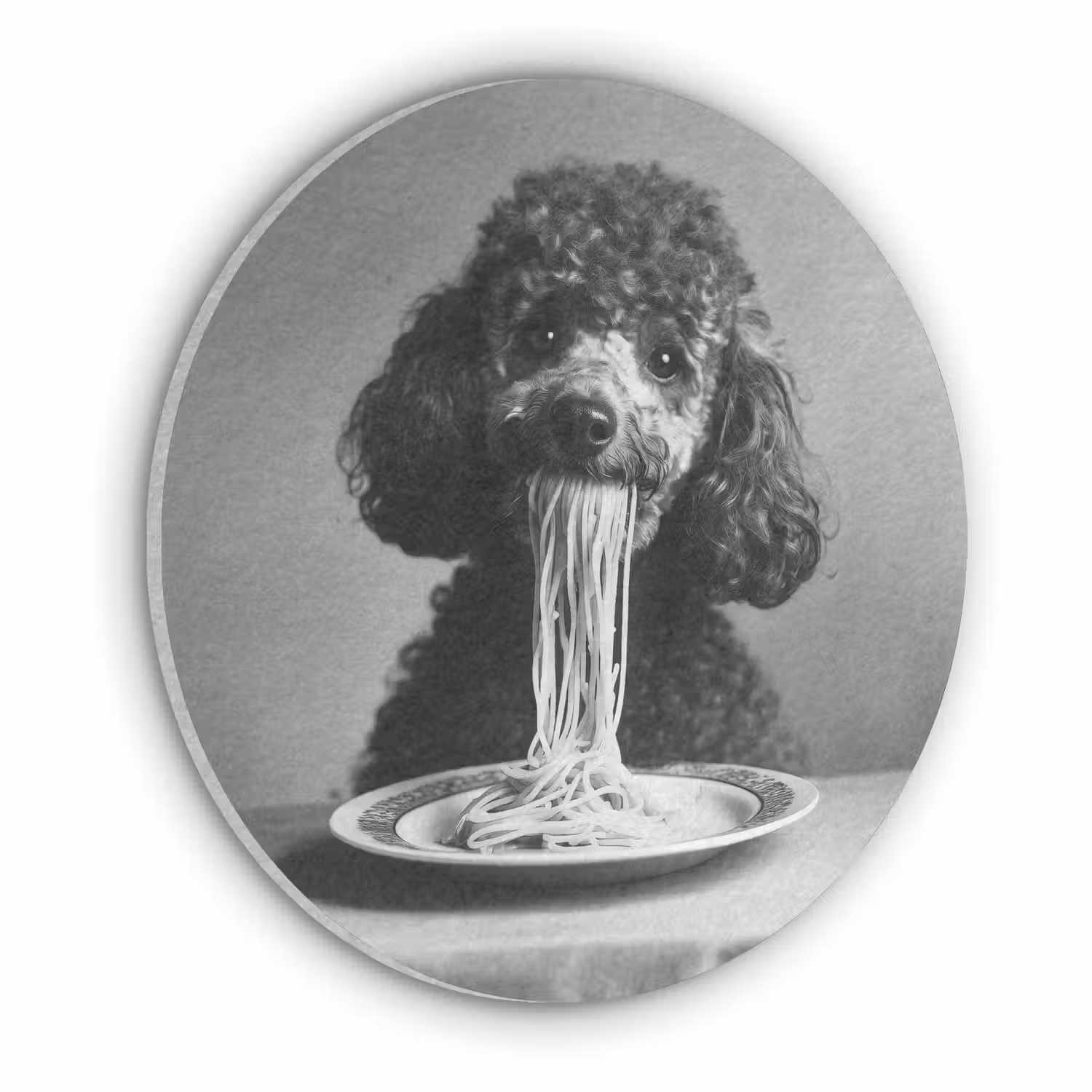 Poedel - Hond - Zwart - Wit - Schattig - Pasta Akoestische PET Vilt - Rond klein -3d