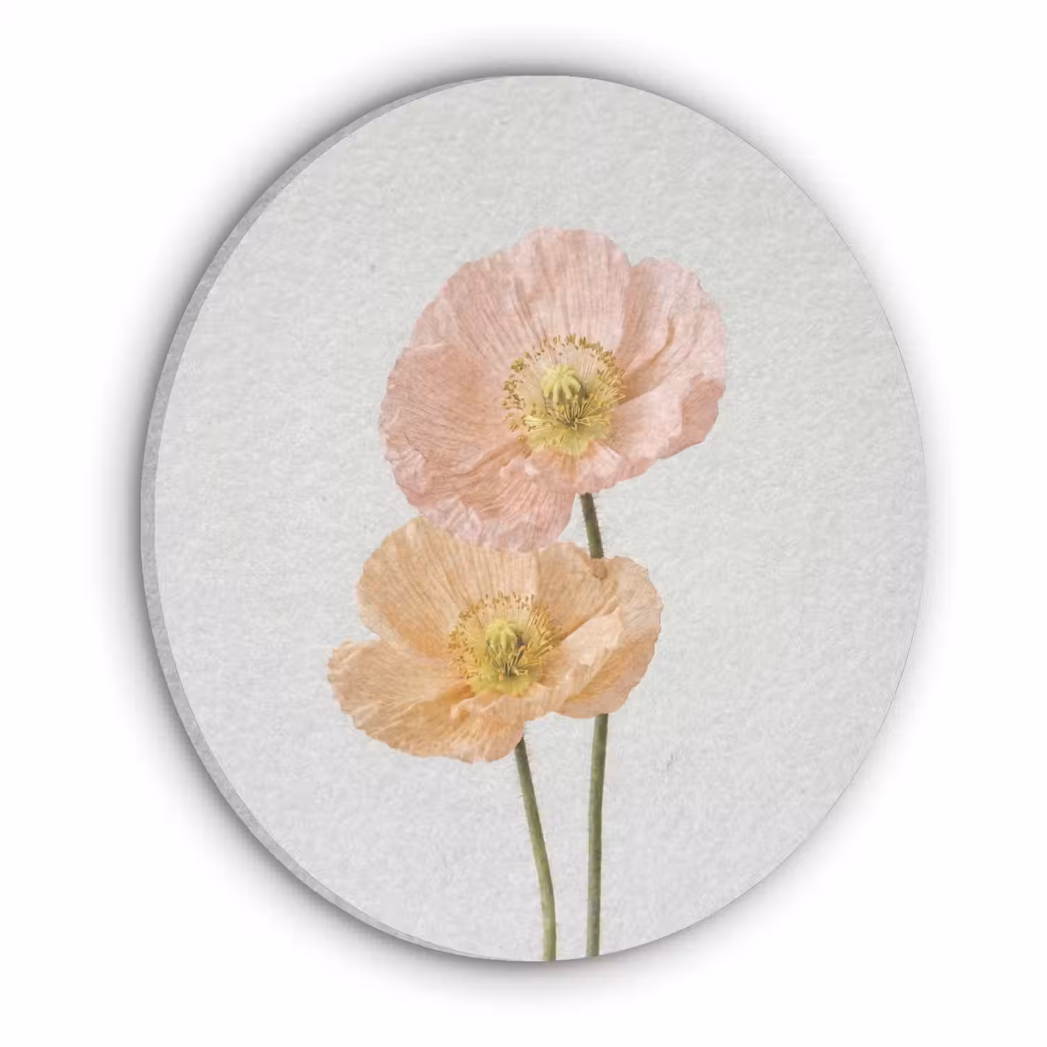 Papavers - Botanisch - Roze Akoestische PET Vilt - Rond klein -3d