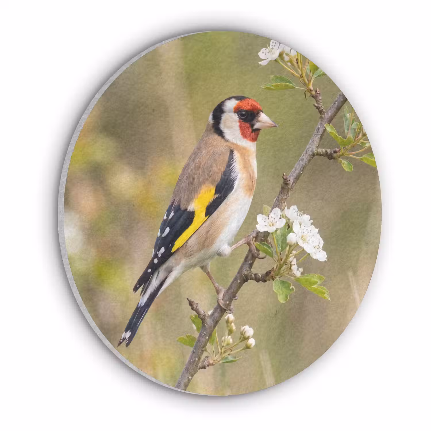 Putter - Bloesem - Lente - Natuur - Kleurrijk Akoestische PET Vilt - Rond klein -3d