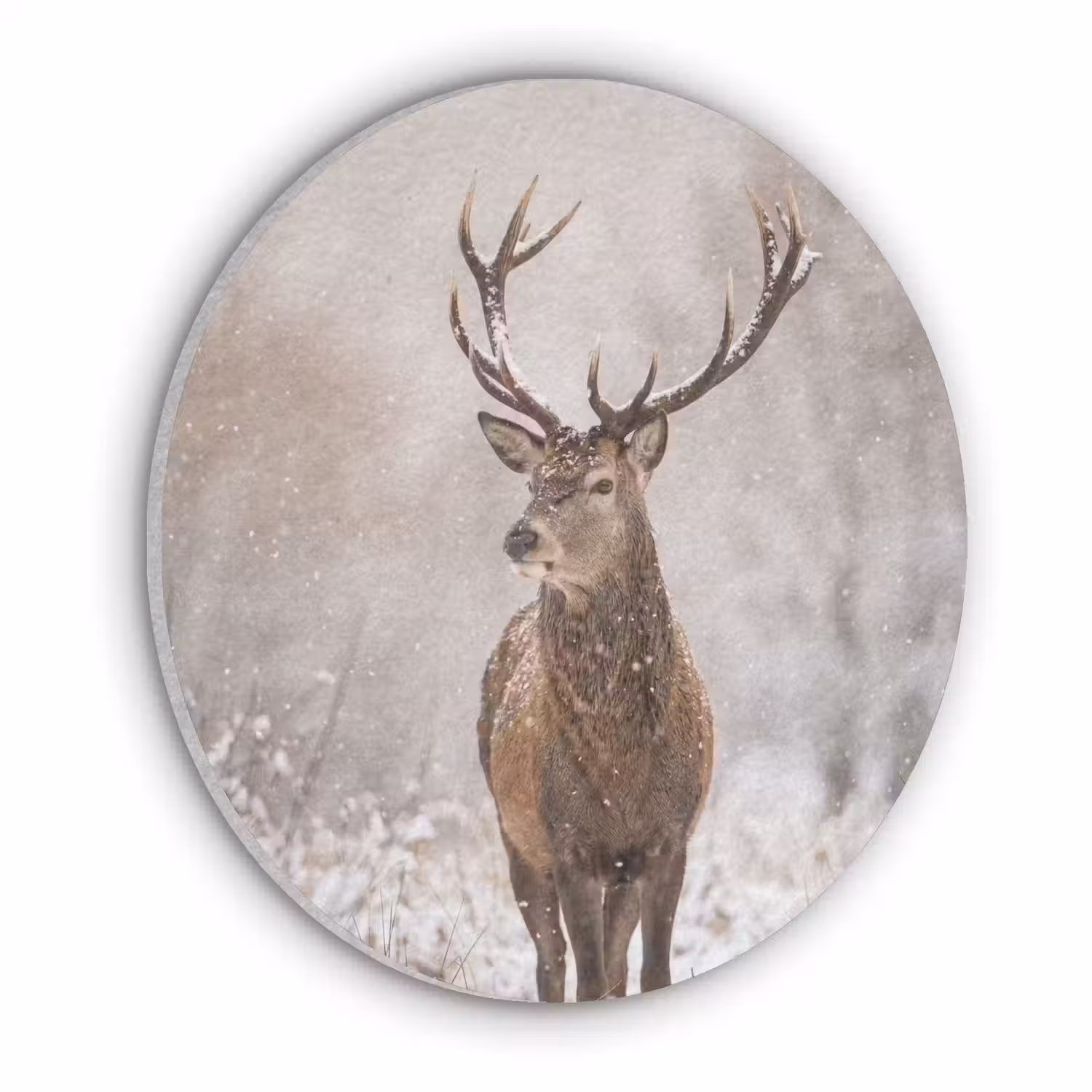 Edelhert - Bos - Sneeuw - Winter - Majestueus Akoestische PET Vilt - Rond klein -3d
