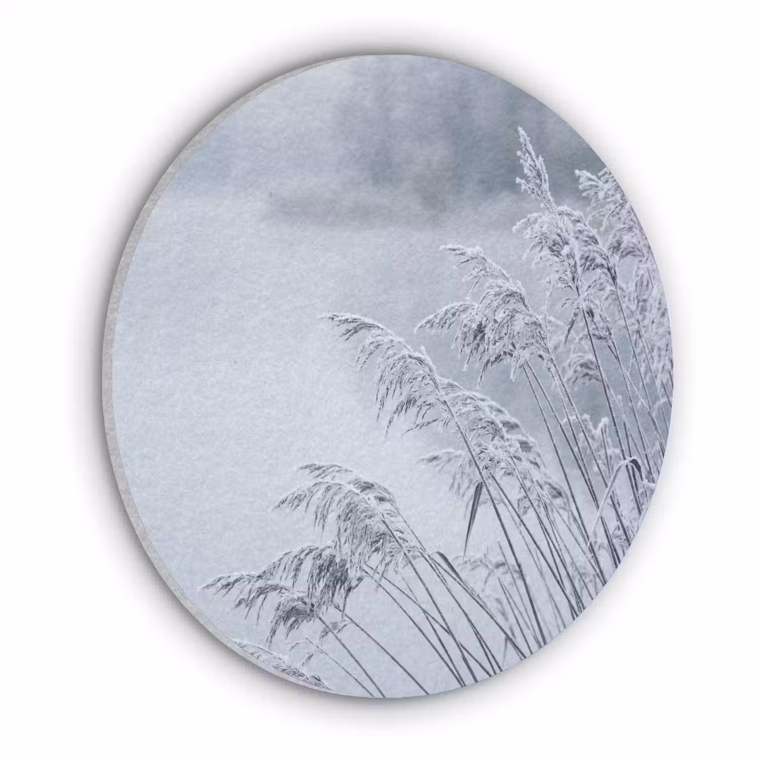 Riet - Bevroren - Winter - Natuur Akoestische PET Vilt - Rond klein -3d