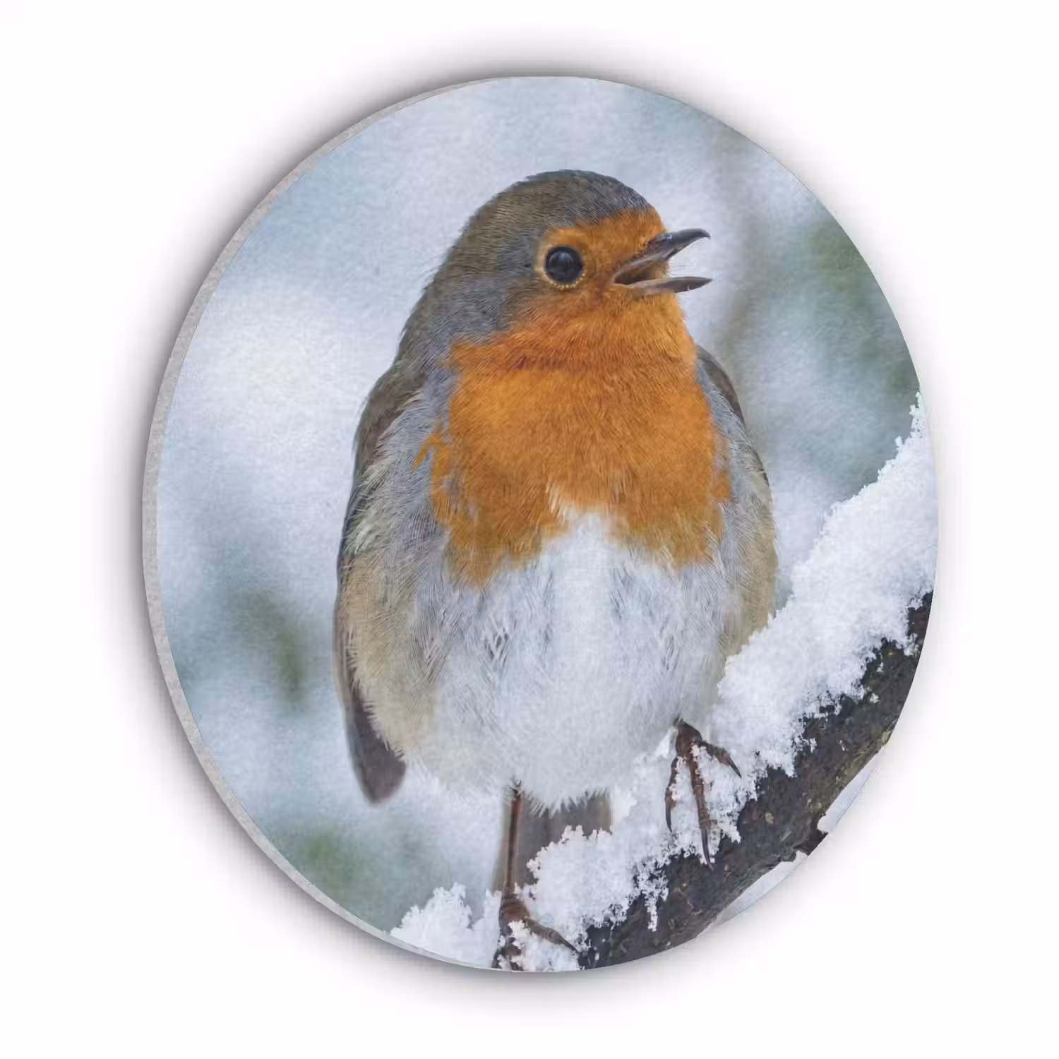 Roodborstje - Tak - Sneeuw - Winter - Levendig Akoestische PET Vilt - Rond klein -3d