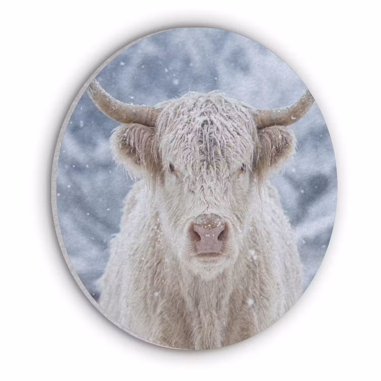 Schotse Hooglander - Sneeuw - Bergen - Winter Akoestische PET Vilt - Rond klein -3d