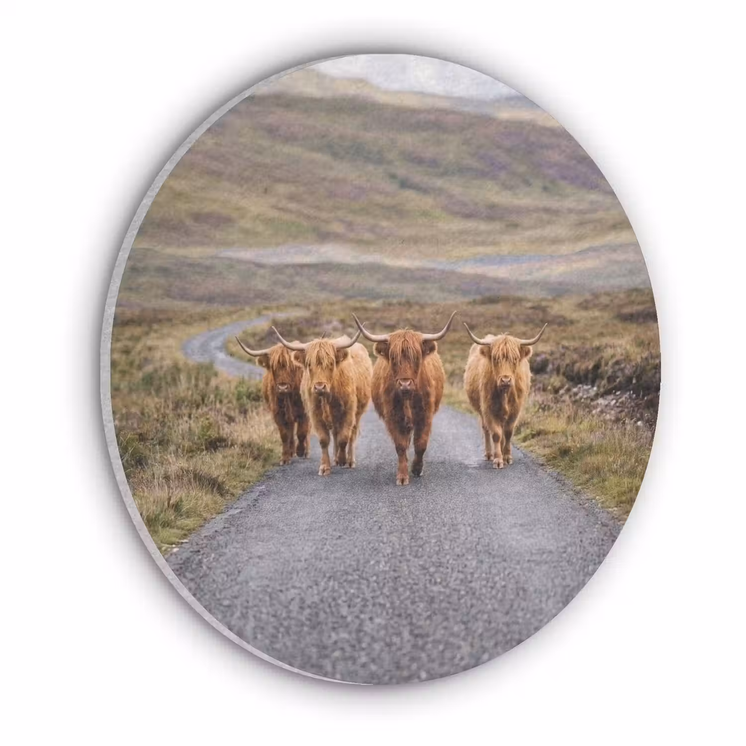 Schotse Hooglanders - Weg - Landschap - Kudde Akoestische PET Vilt - Rond klein -3d