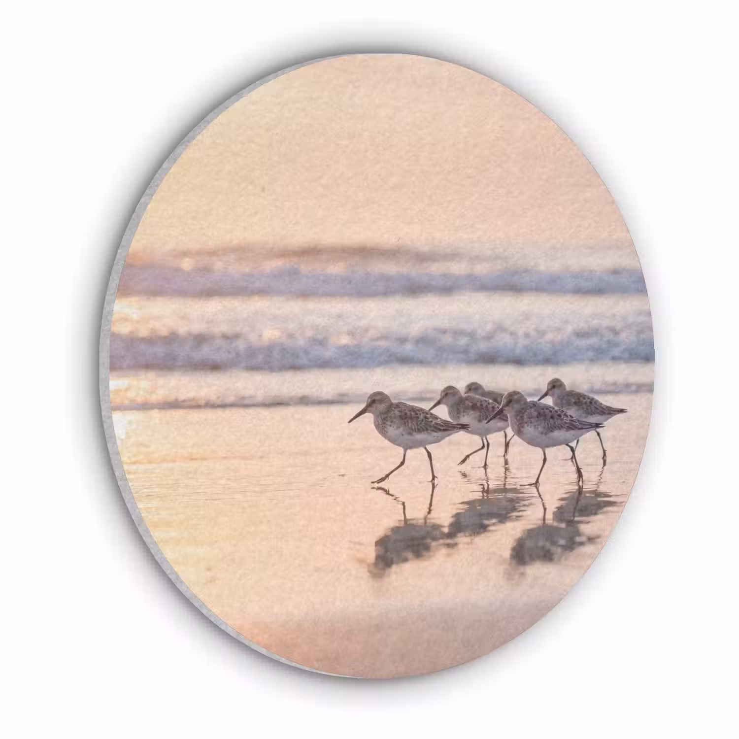 Zee - Vogels - Strand Akoestische PET Vilt - Rond klein -3d