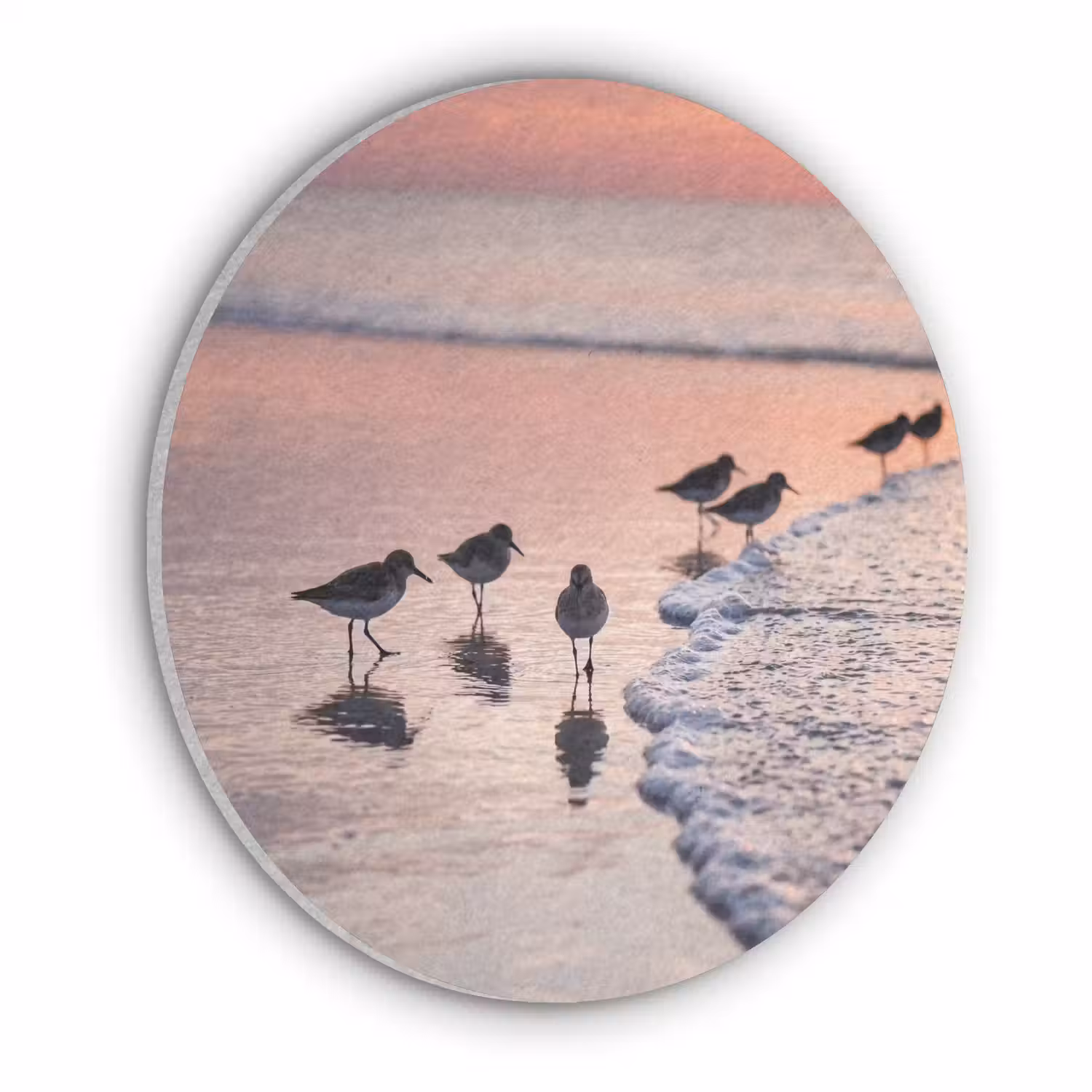 Meeuwen - Strand - Zee - Roze Akoestische PET Vilt - Rond klein -3d