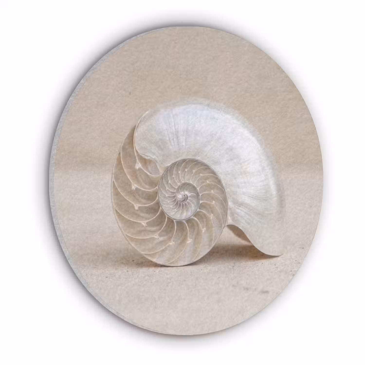 Schelp - Spiraal - Beige Akoestische PET Vilt - Rond klein -3d