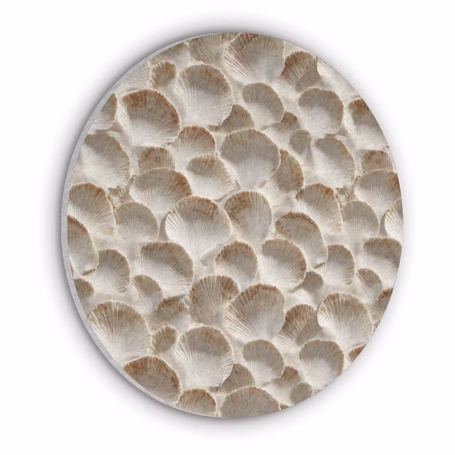 Schelpen - Waaiervorm - Wit Akoestische PET Vilt - Rond klein 838 -3d