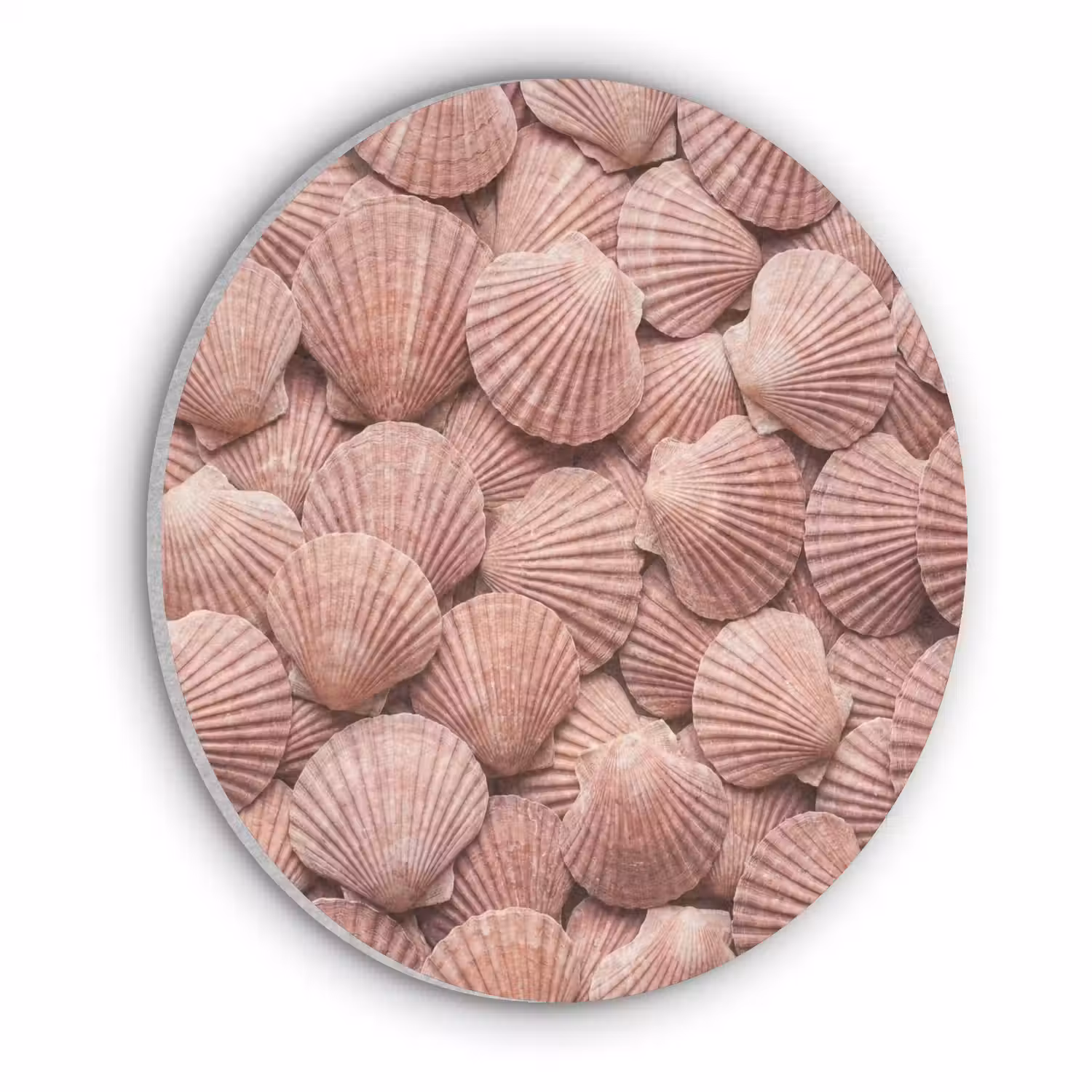 Schelpen - Patroon - Roze Akoestische PET Vilt - Rond klein -3d