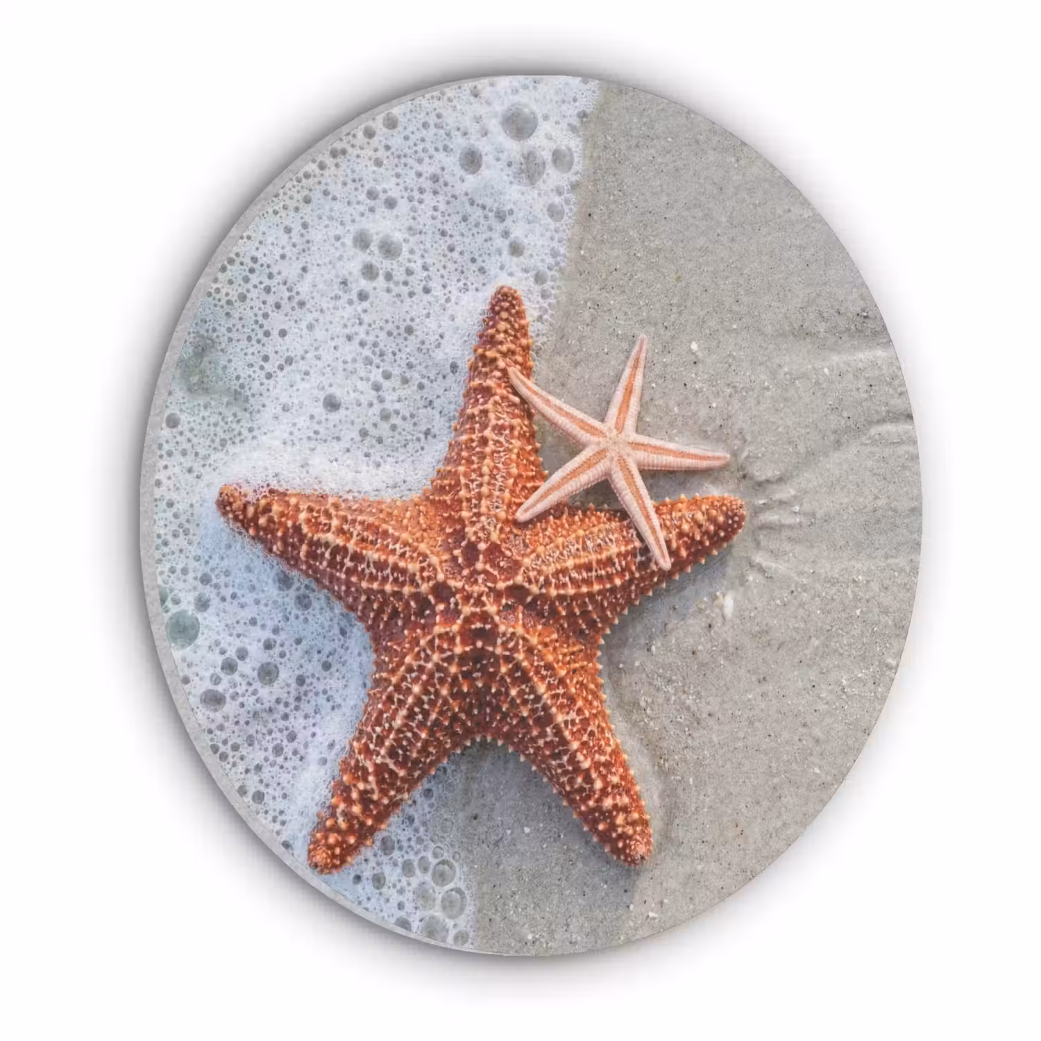 Zeester - Strand - Zee Akoestische PET Vilt - Rond klein -3d