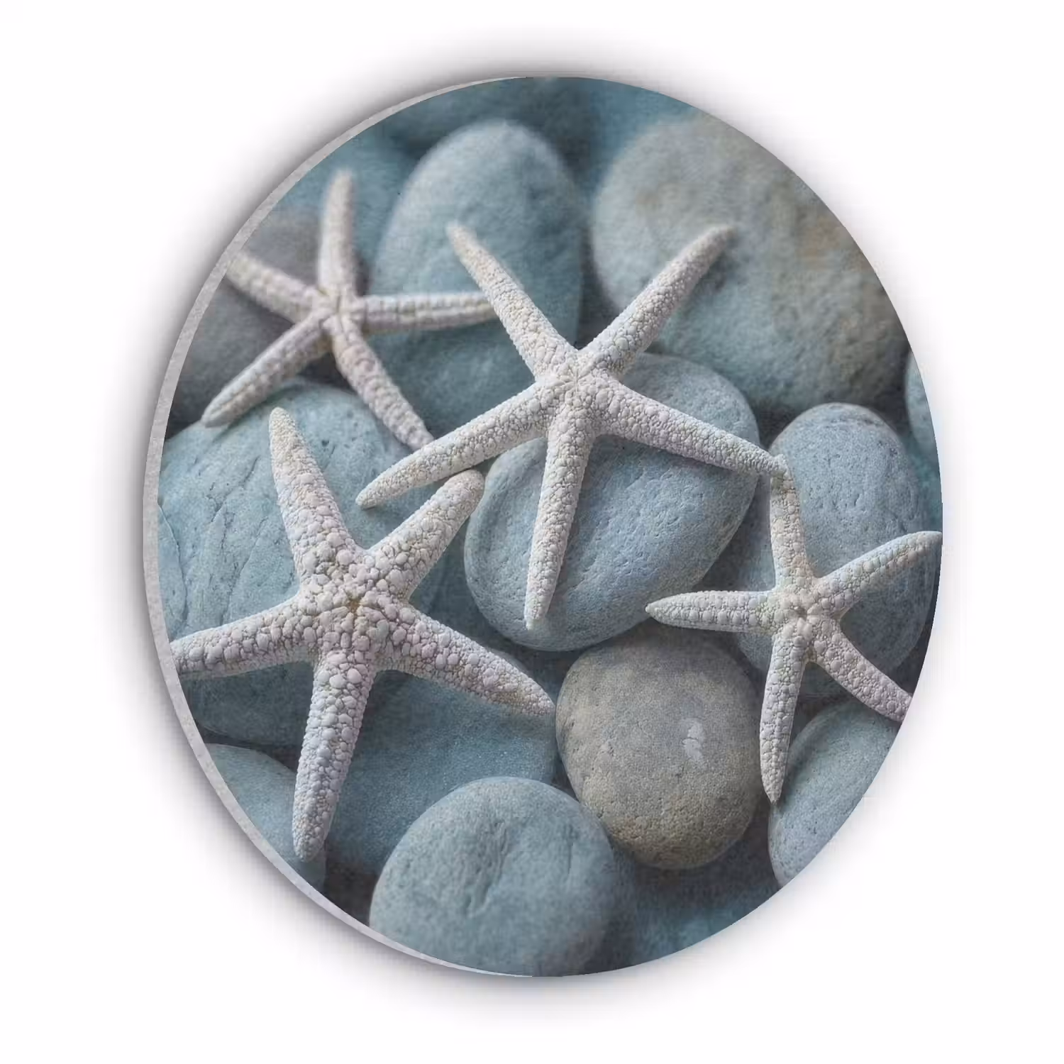 Zeesterren - Stenen - Wit Akoestische PET Vilt - Rond klein -3d